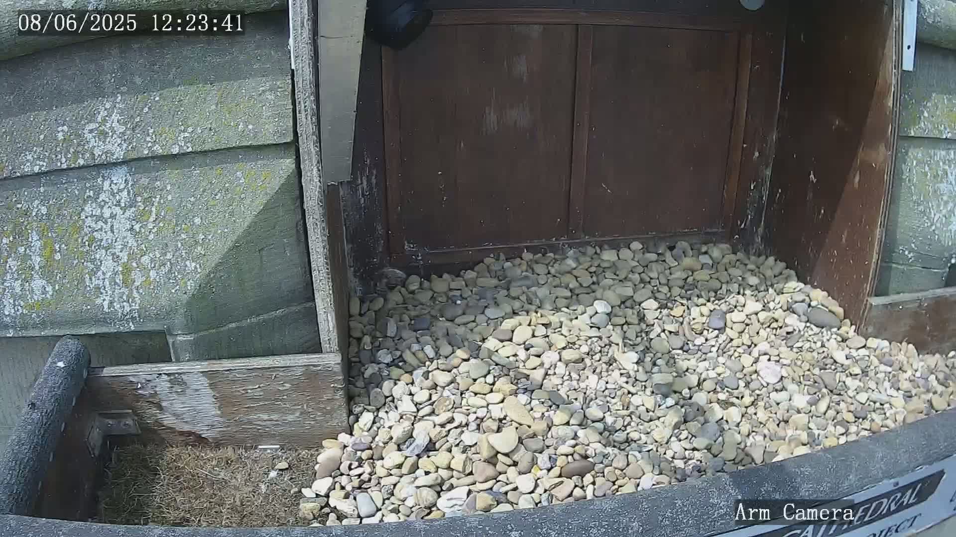 A pile of light-colored gravel sits in front of a weathered wooden structure on a sunny day.