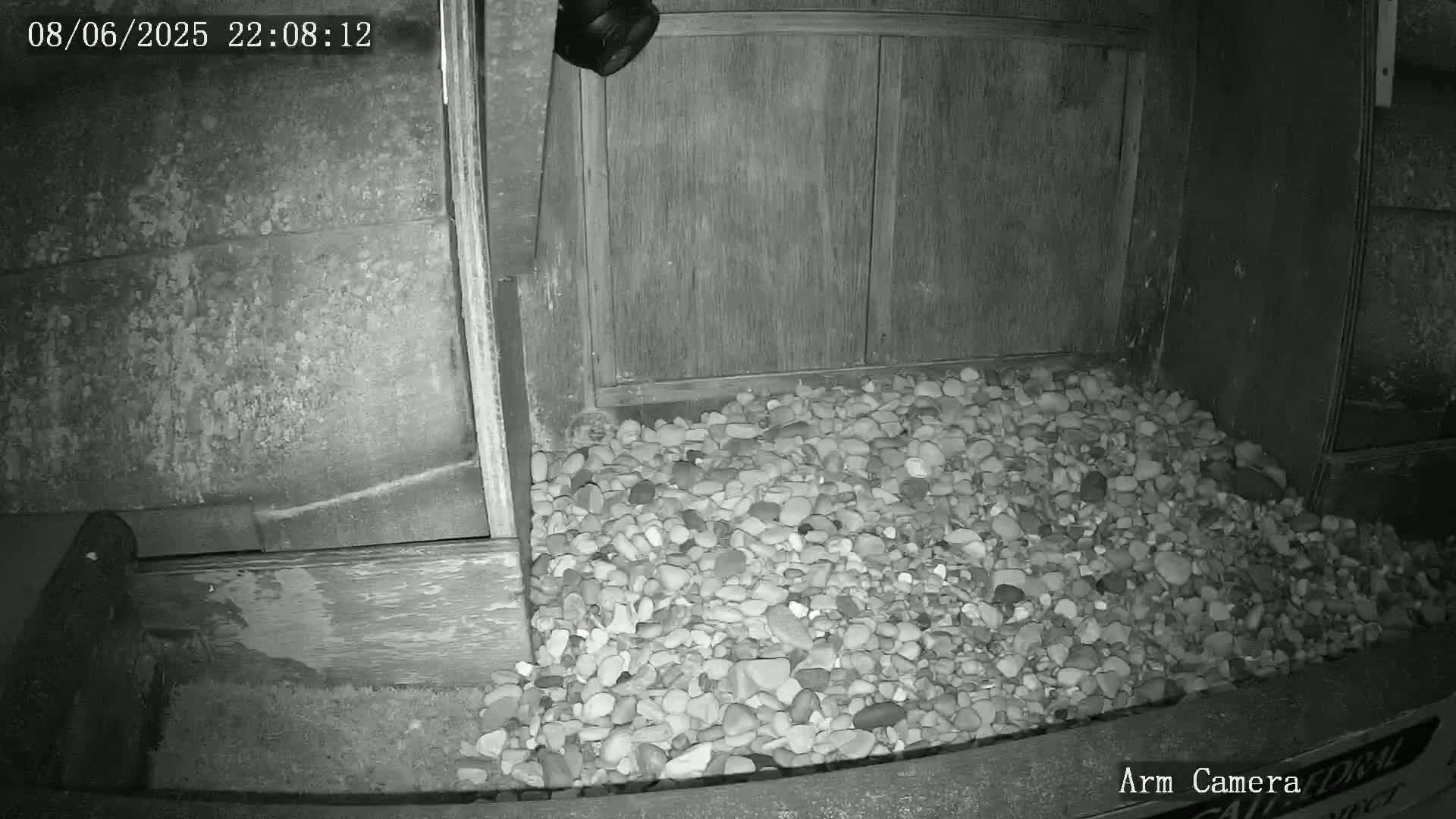 Wakefield Cathedral & Peregrine Life Project Live Cam - Wakefield, West Yorkshire, Yorkshire and the Humber, England, United Kingdom