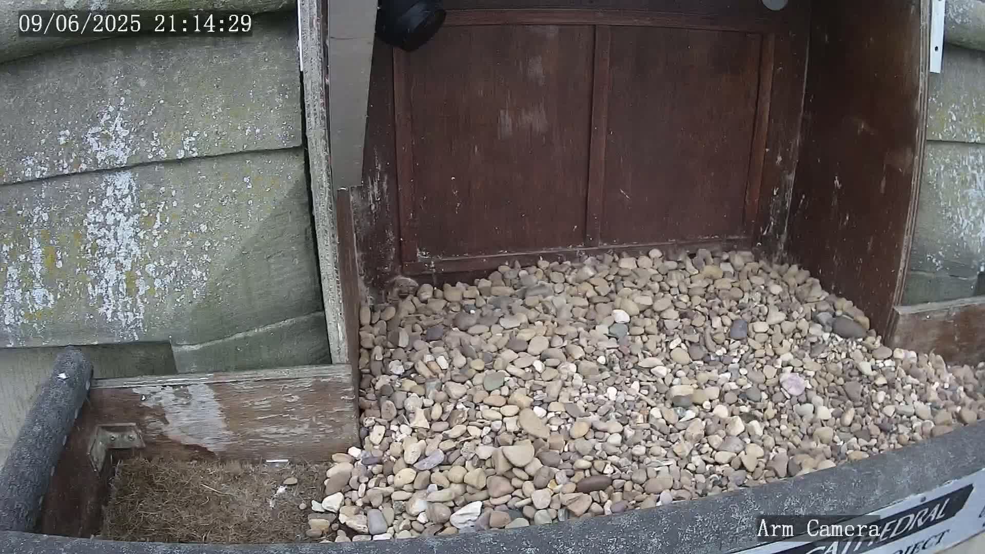Wakefield Cathedral & Peregrine Life Project Live Cam - Wakefield, West Yorkshire, Yorkshire and the Humber, England, United Kingdom