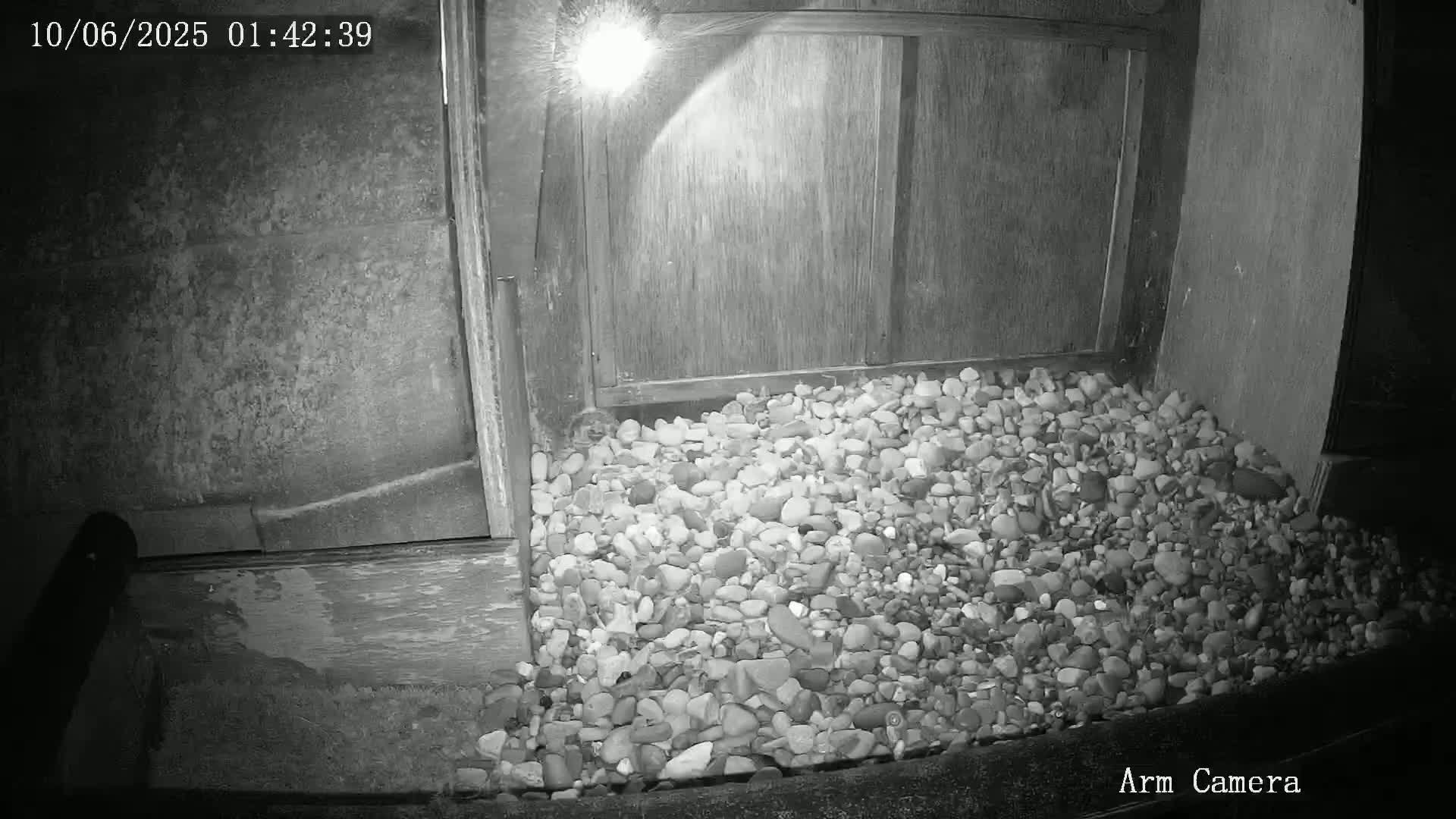 Wakefield Cathedral & Peregrine Life Project Live Cam - Wakefield, West Yorkshire, Yorkshire and the Humber, England, United Kingdom