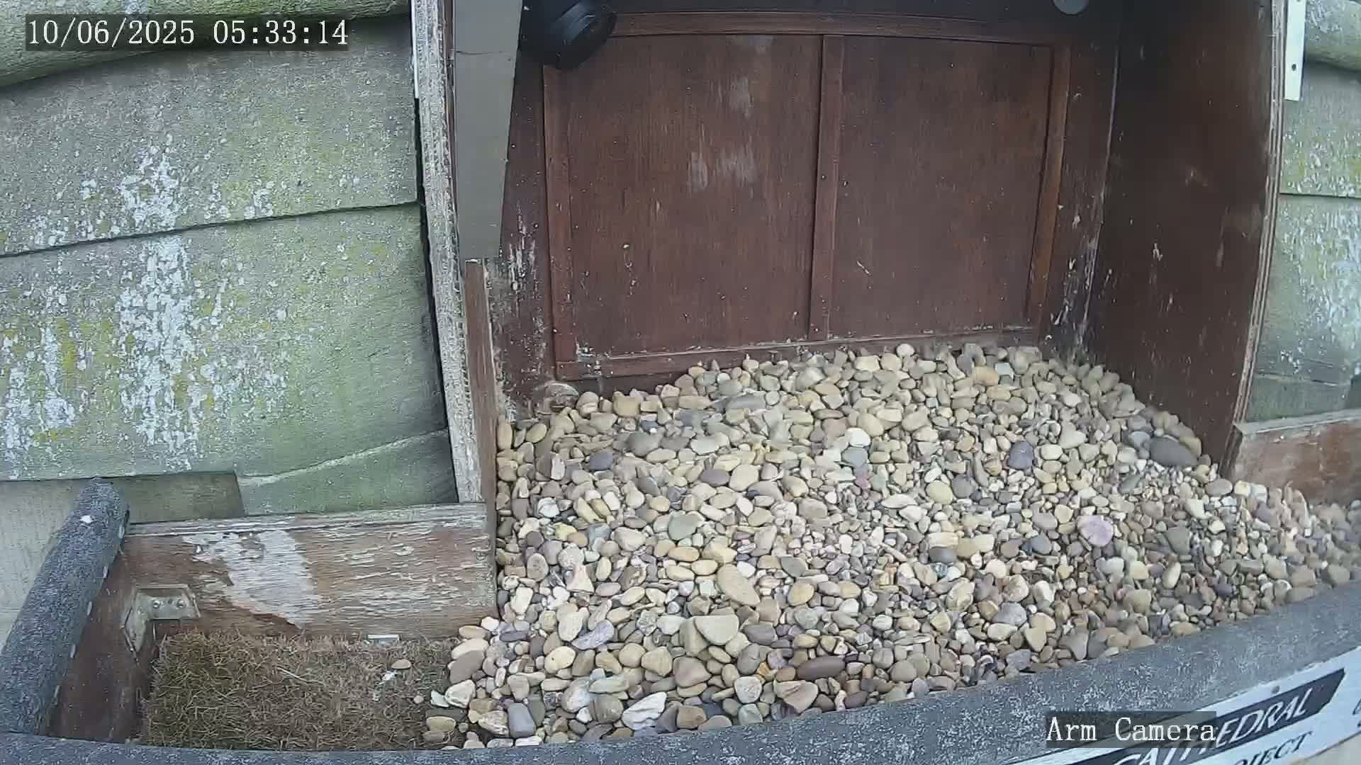 Wakefield Cathedral & Peregrine Life Project Live Cam - Wakefield, West Yorkshire, Yorkshire and the Humber, England, United Kingdom