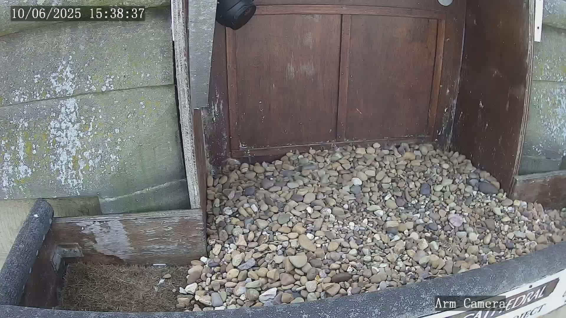 A pile of small, light-colored rocks sits at the base of a dark brown wooden structure next to a weathered gray wall.