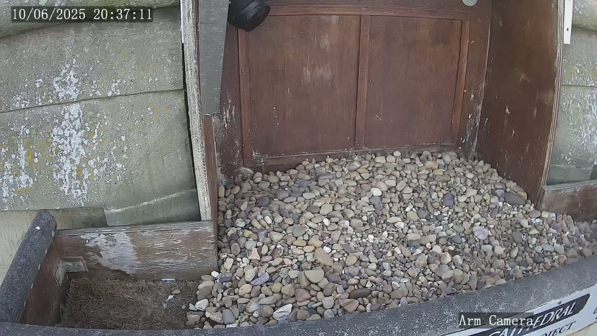 Wakefield Cathedral & Peregrine Life Project Live Cam - Wakefield, West Yorkshire, Yorkshire and the Humber, England, United Kingdom