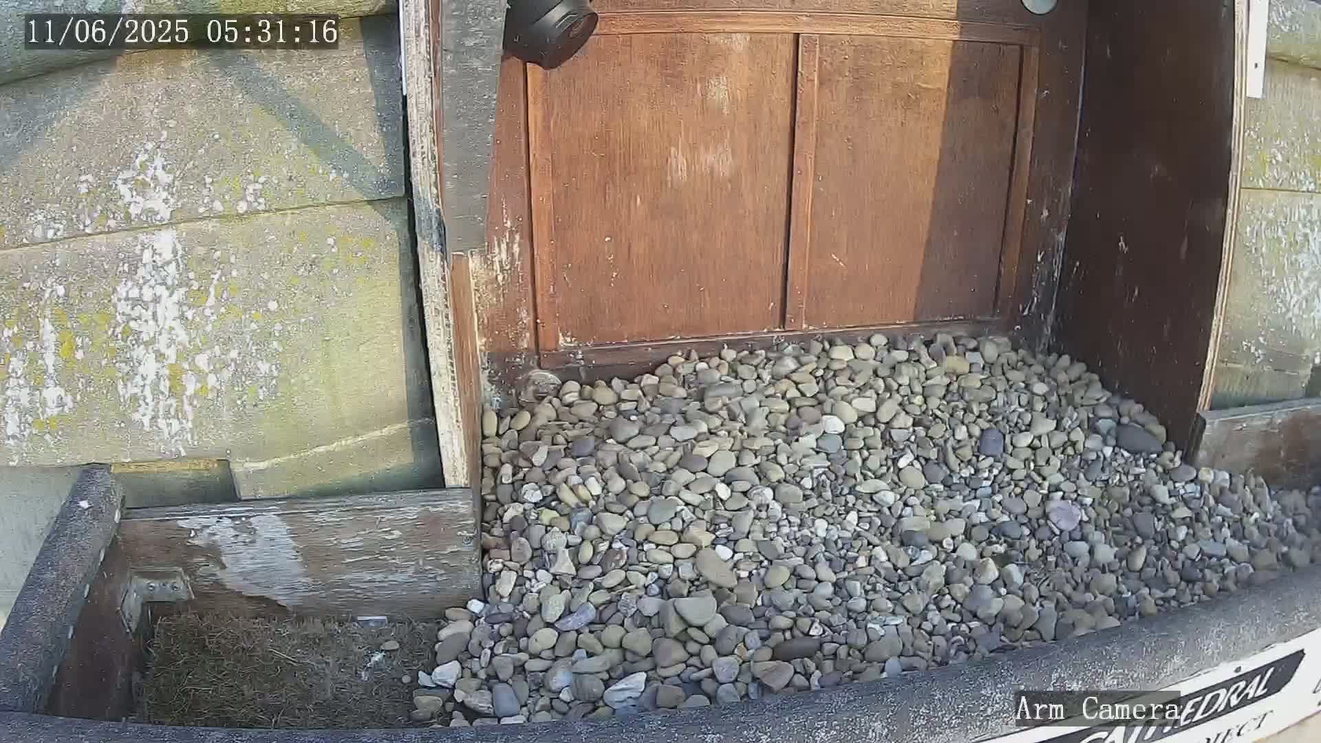 Wakefield Cathedral & Peregrine Life Project Live Cam - Wakefield, West Yorkshire, Yorkshire and the Humber, England, United Kingdom