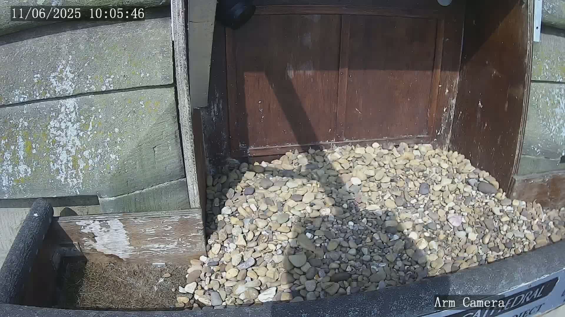 A pile of light-colored stones sits in front of a weathered wooden door on a sunny day.