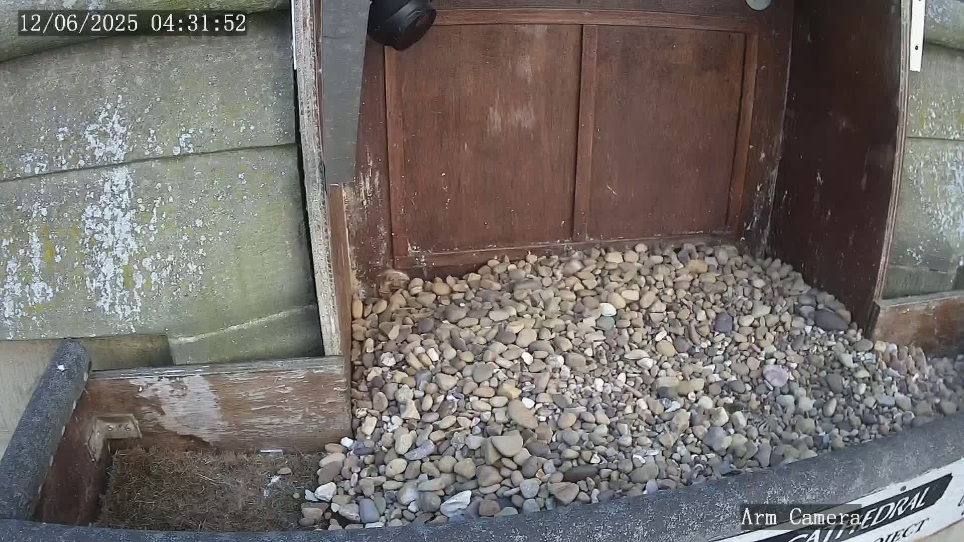 Wakefield Cathedral & Peregrine Life Project Live Cam - Wakefield, West Yorkshire, Yorkshire and the Humber, England, United Kingdom
