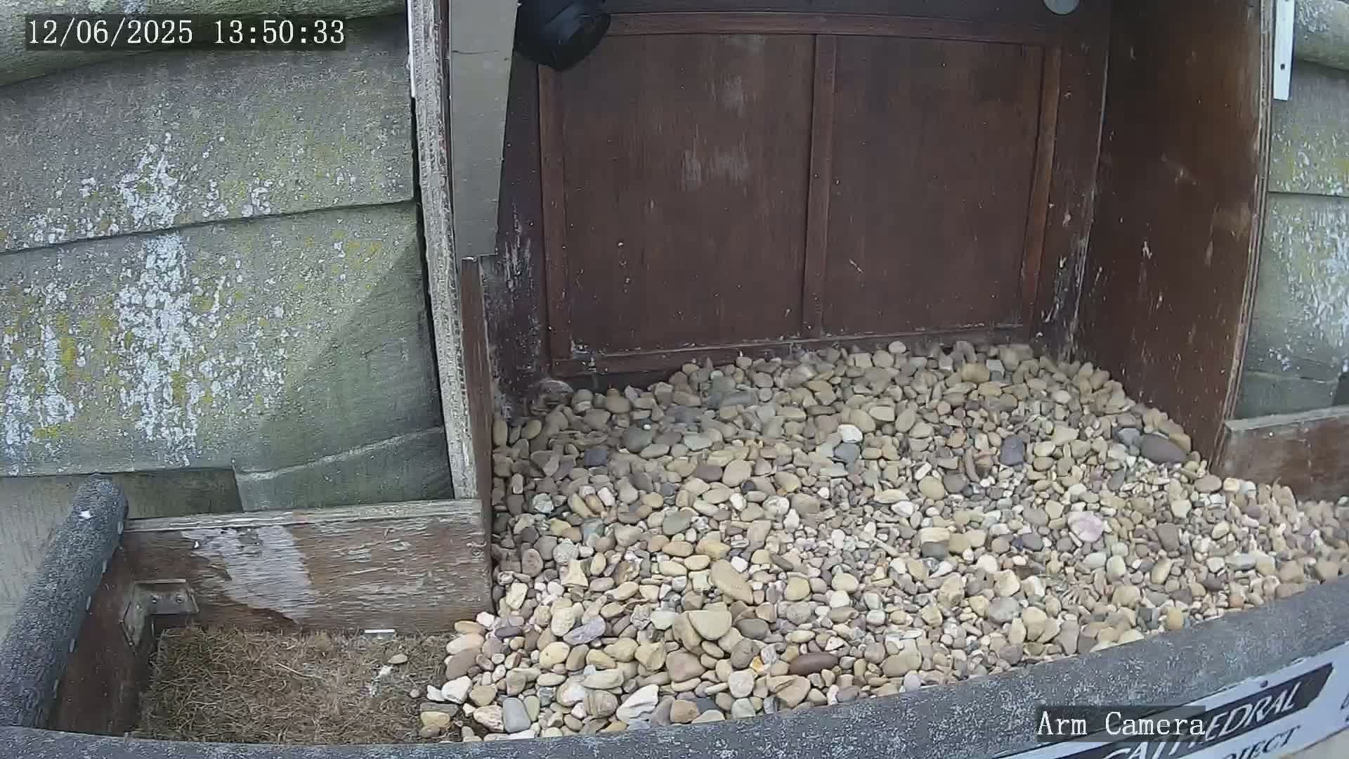 A pile of light-colored gravel sits in front of a dark brown wooden structure against a weathered gray stone wall.