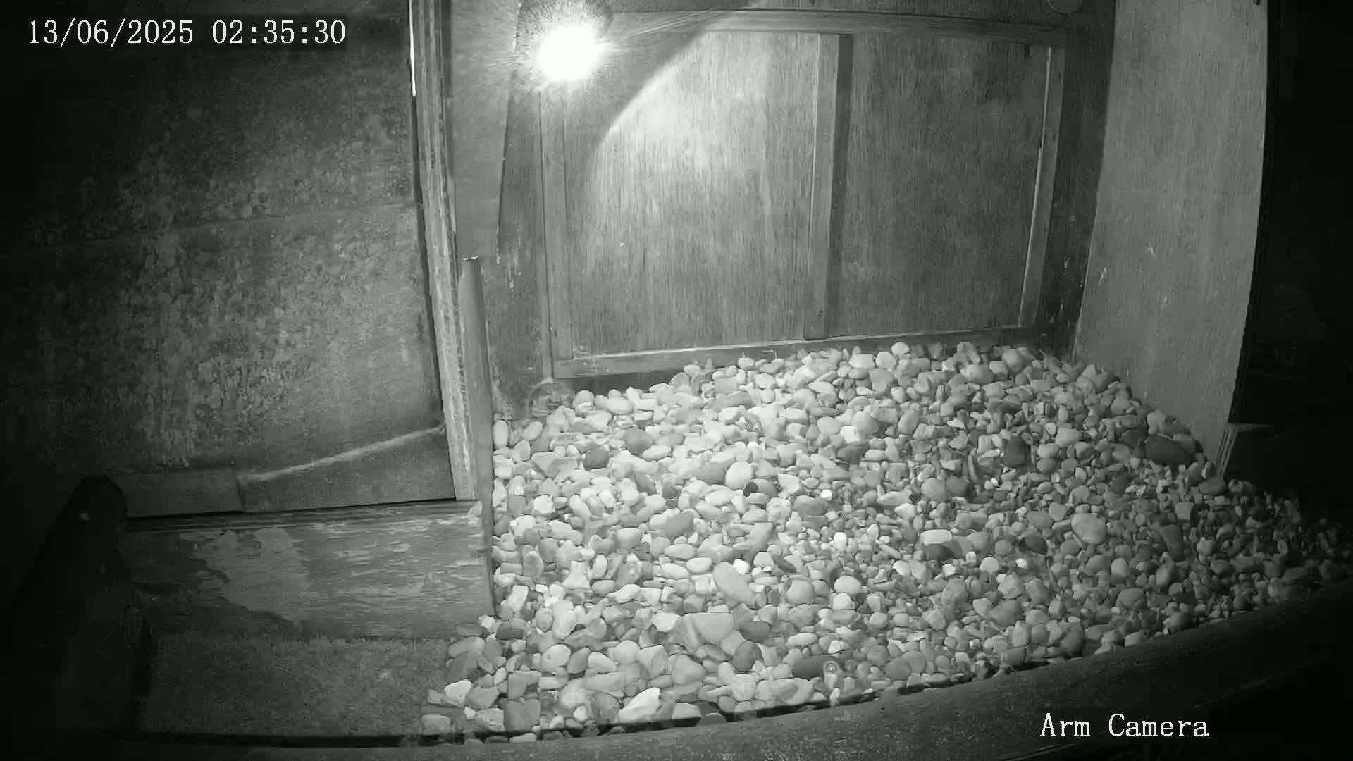 Wakefield Cathedral & Peregrine Life Project Live Cam - Wakefield, West Yorkshire, Yorkshire and the Humber, England, United Kingdom
