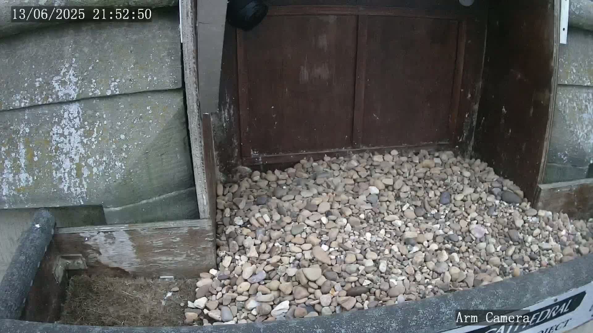 A pile of light-colored pebbles sits at the base of a weathered wooden structure, next to a gray stone wall.