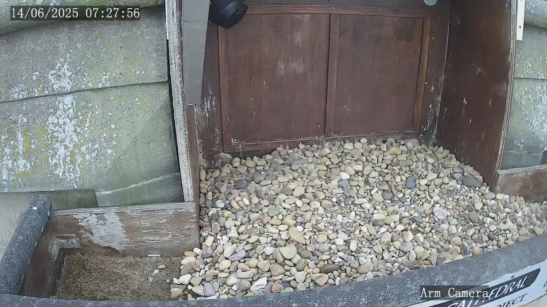 Wakefield Cathedral & Peregrine Life Project Live Cam - Wakefield, West Yorkshire, Yorkshire and the Humber, England, United Kingdom