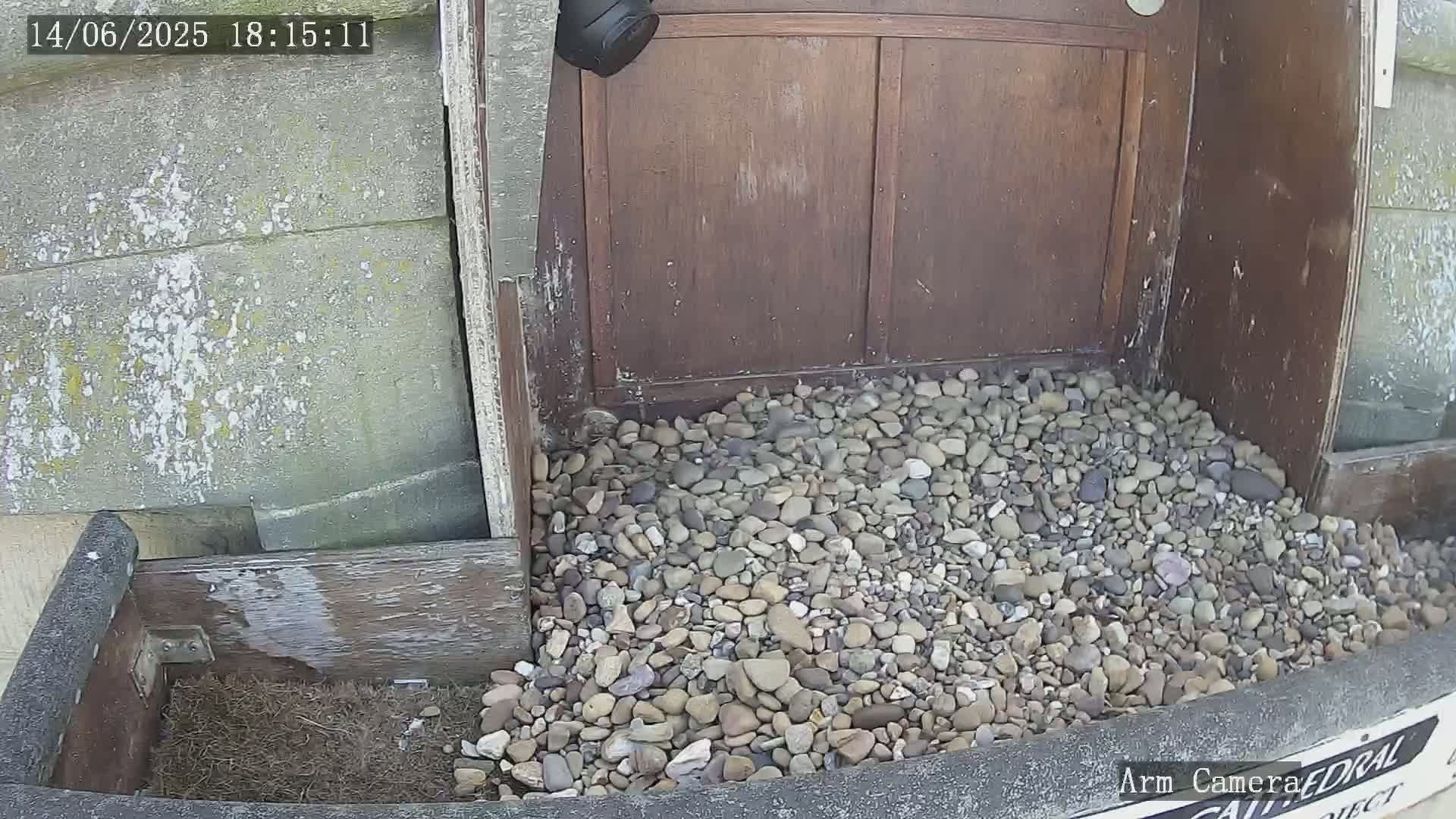 A pile of small rocks sits in front of a weathered wooden structure, next to a security camera.