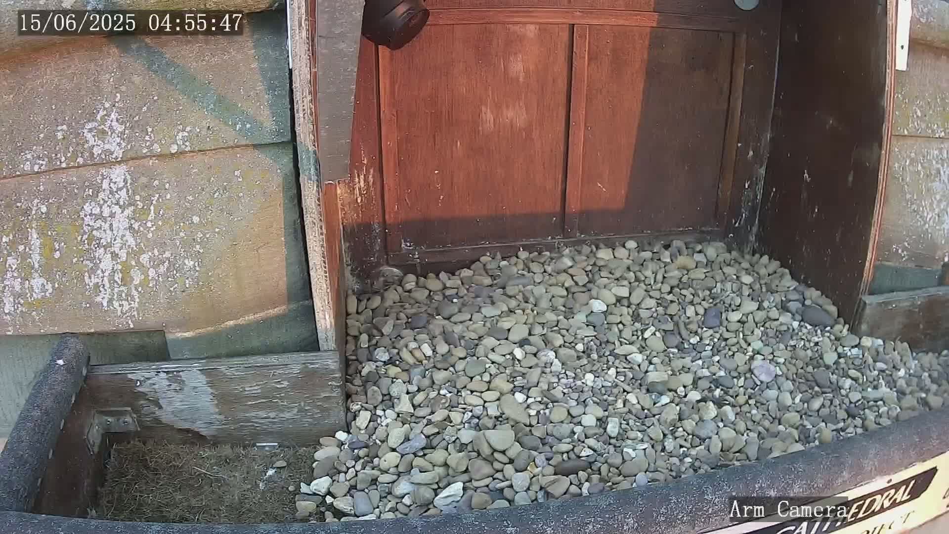 Wakefield Cathedral & Peregrine Life Project Live Cam - Wakefield, West Yorkshire, Yorkshire and the Humber, England, United Kingdom