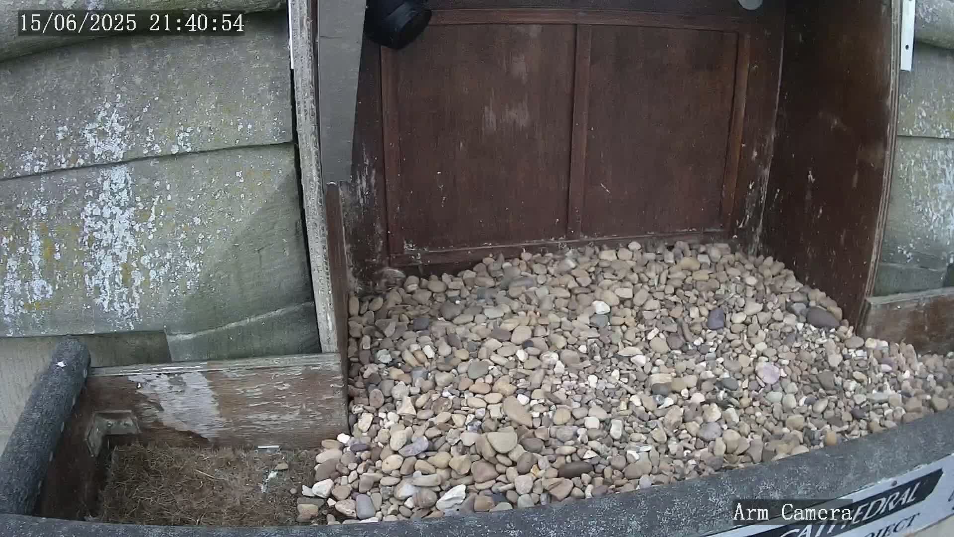 Wakefield Cathedral & Peregrine Life Project Live Cam - Wakefield, West Yorkshire, Yorkshire and the Humber, England, United Kingdom