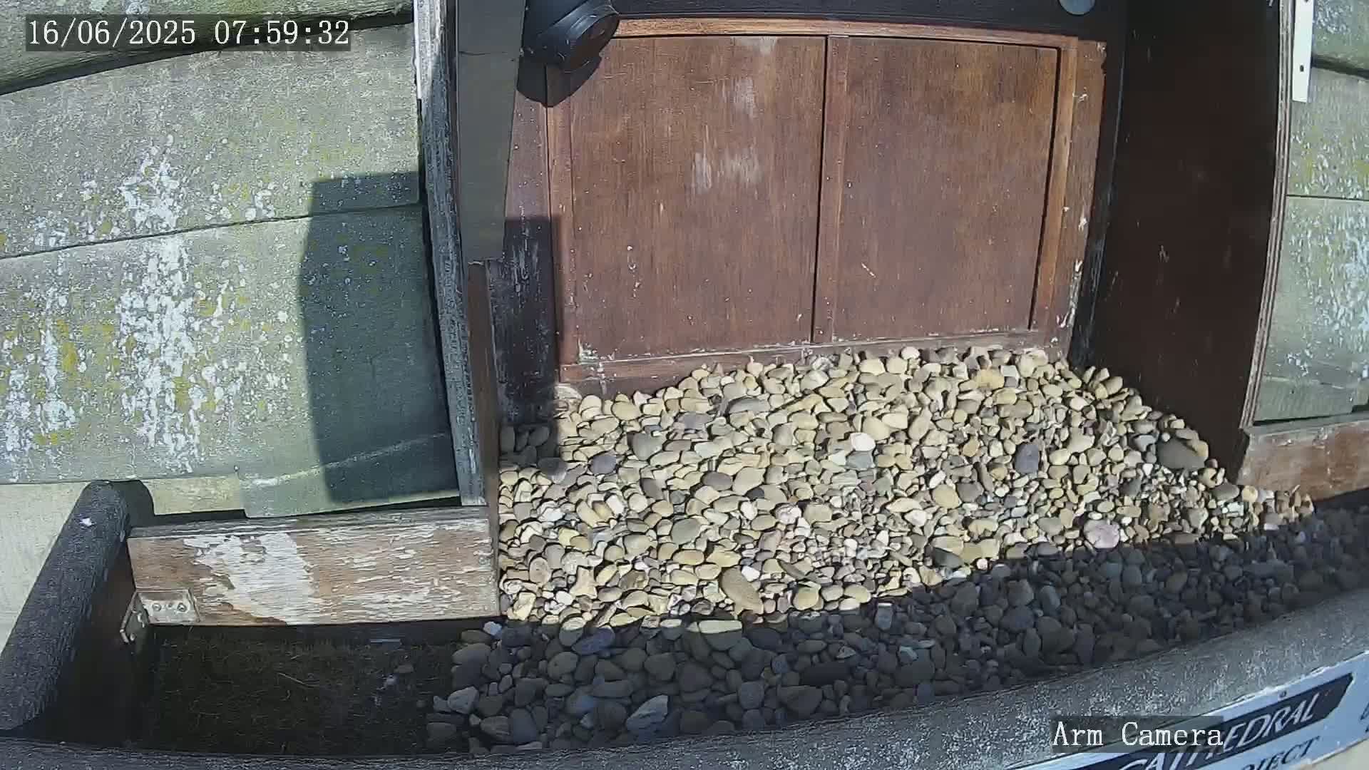 Wakefield Cathedral & Peregrine Life Project Live Cam - Wakefield, West Yorkshire, Yorkshire and the Humber, England, United Kingdom