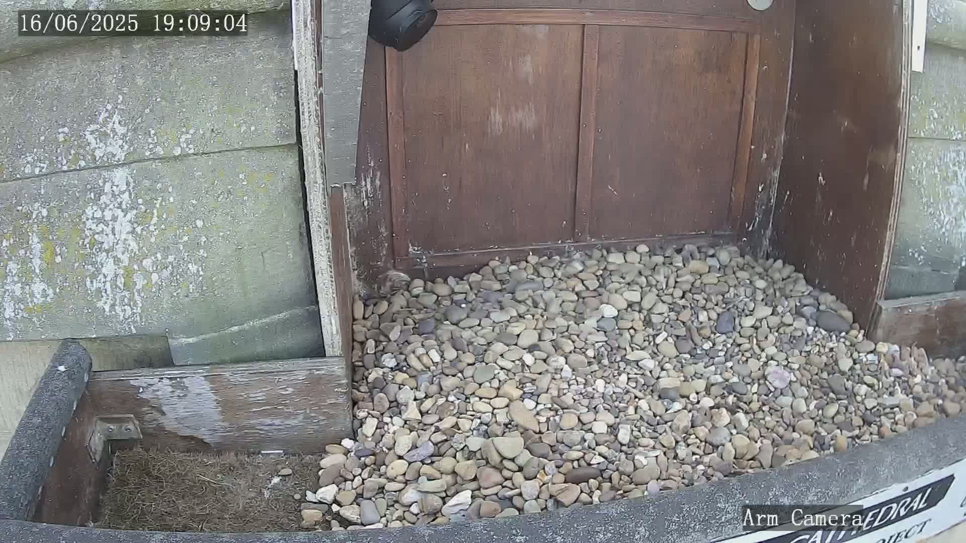 A pile of small, multicolored stones sits in a wooden box next to a weathered wooden door, partially obscured by a security camera.