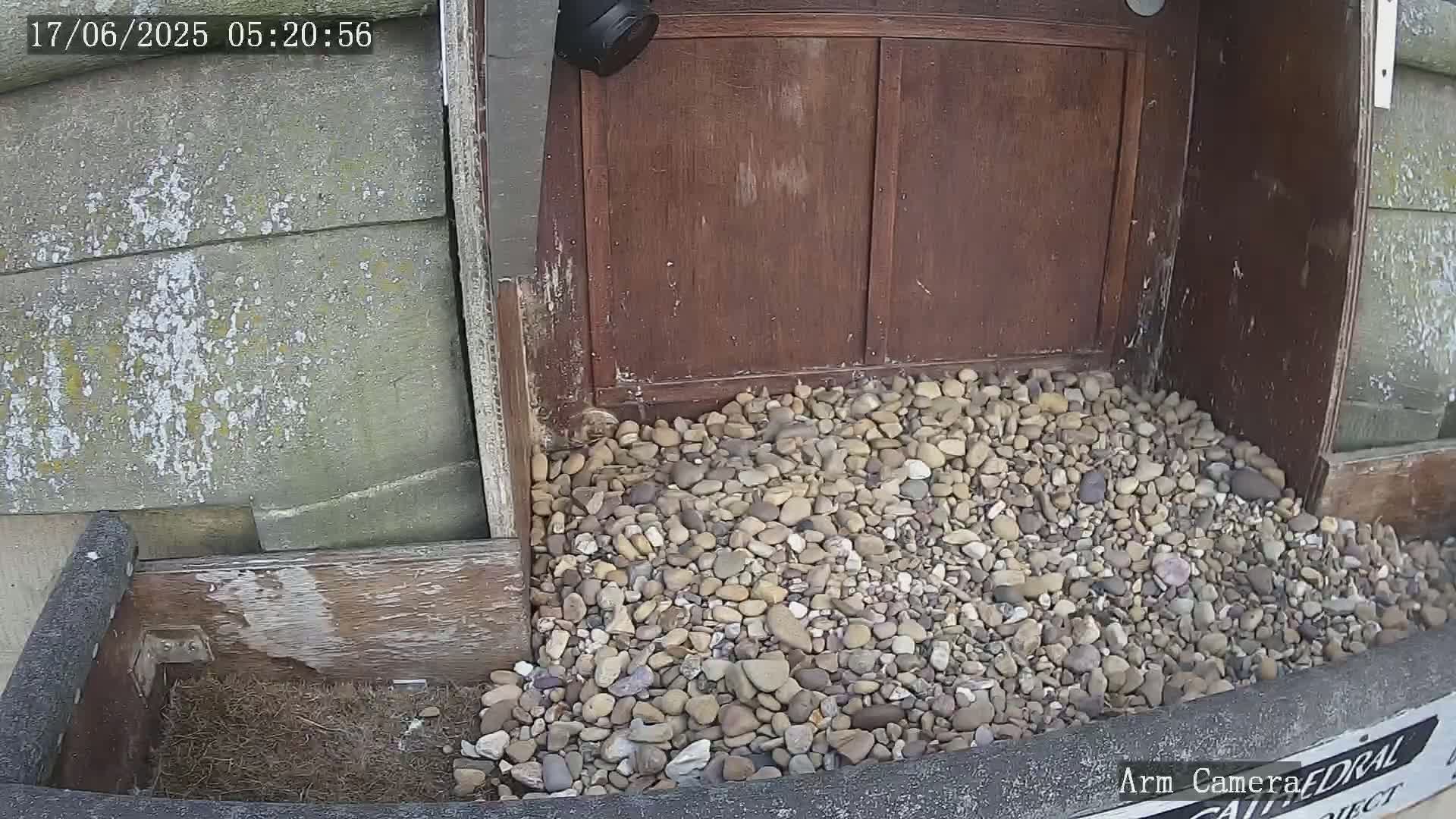 Wakefield Cathedral & Peregrine Life Project Live Cam - Wakefield, West Yorkshire, Yorkshire and the Humber, England, United Kingdom