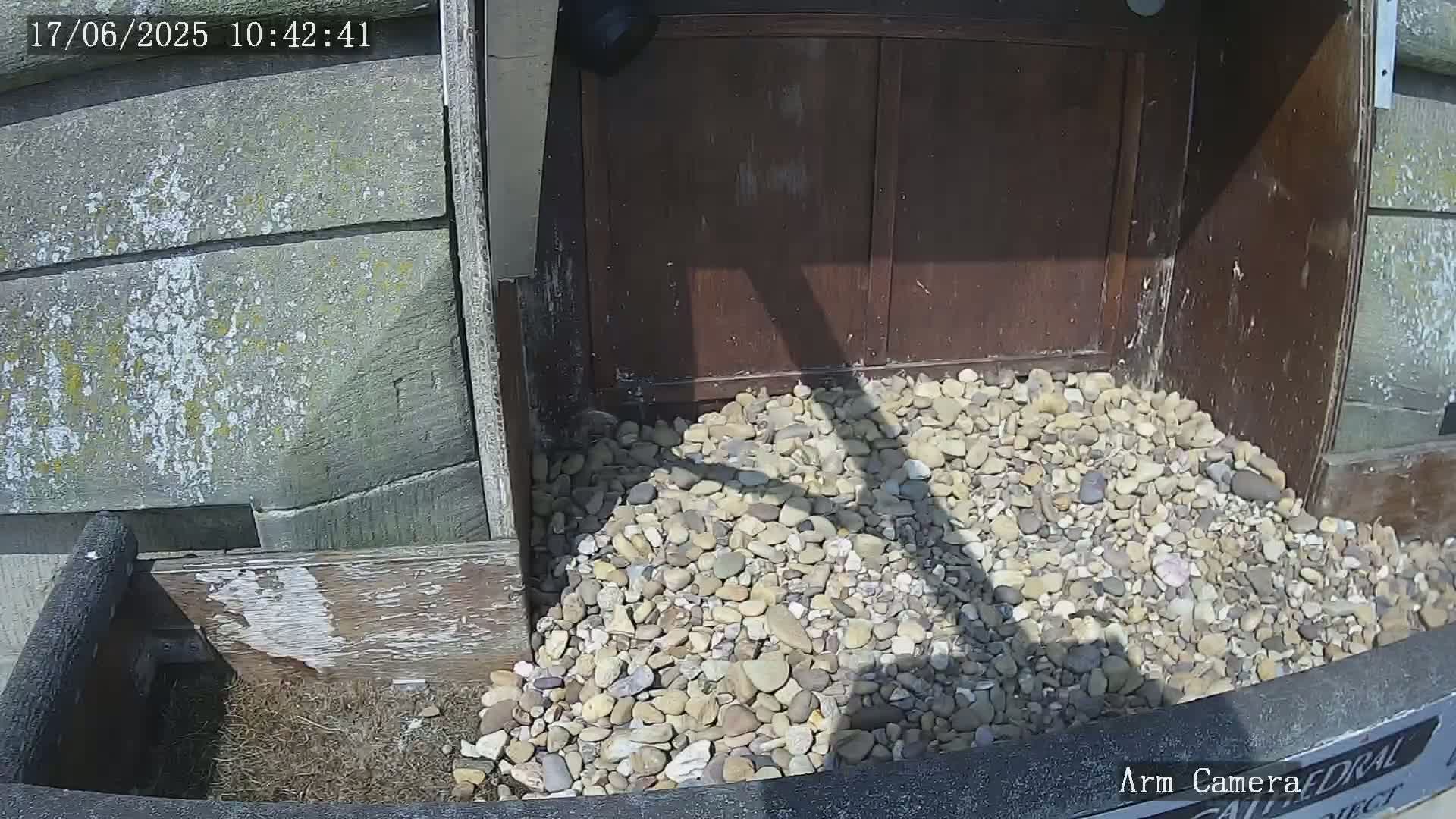A pile of light-colored pebbles sits in front of a dark brown wooden structure on a sunny day.