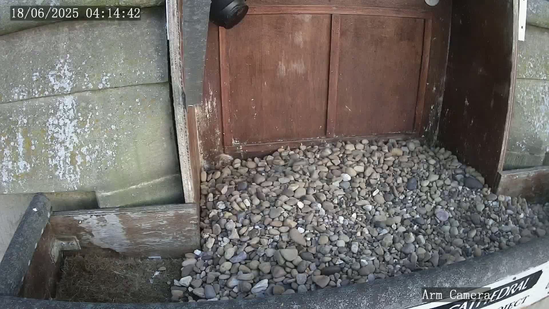 Wakefield Cathedral & Peregrine Life Project Live Cam - Wakefield, West Yorkshire, Yorkshire and the Humber, England, United Kingdom