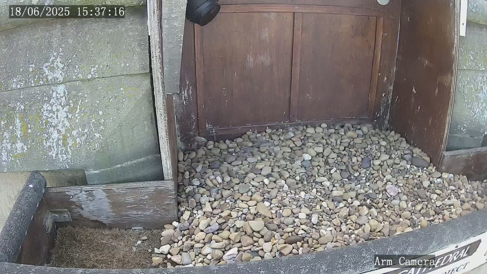 A pile of small stones sits in front of a weathered wooden door, partially contained by a wooden structure.