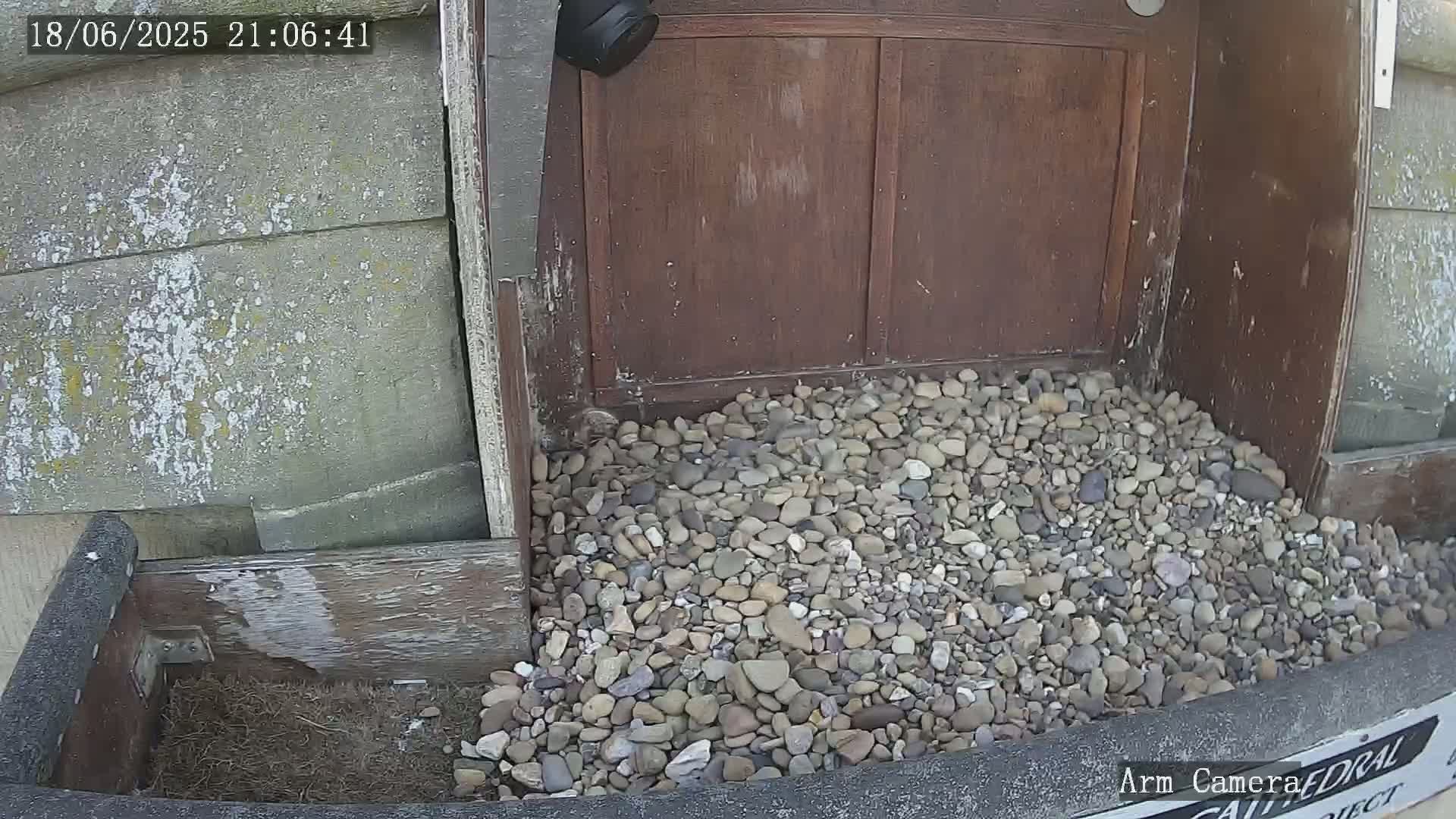 Wakefield Cathedral & Peregrine Life Project Live Cam - Wakefield, West Yorkshire, Yorkshire and the Humber, England, United Kingdom