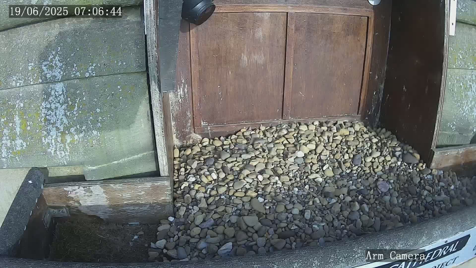 Wakefield Cathedral & Peregrine Life Project Live Cam - Wakefield, West Yorkshire, Yorkshire and the Humber, England, United Kingdom