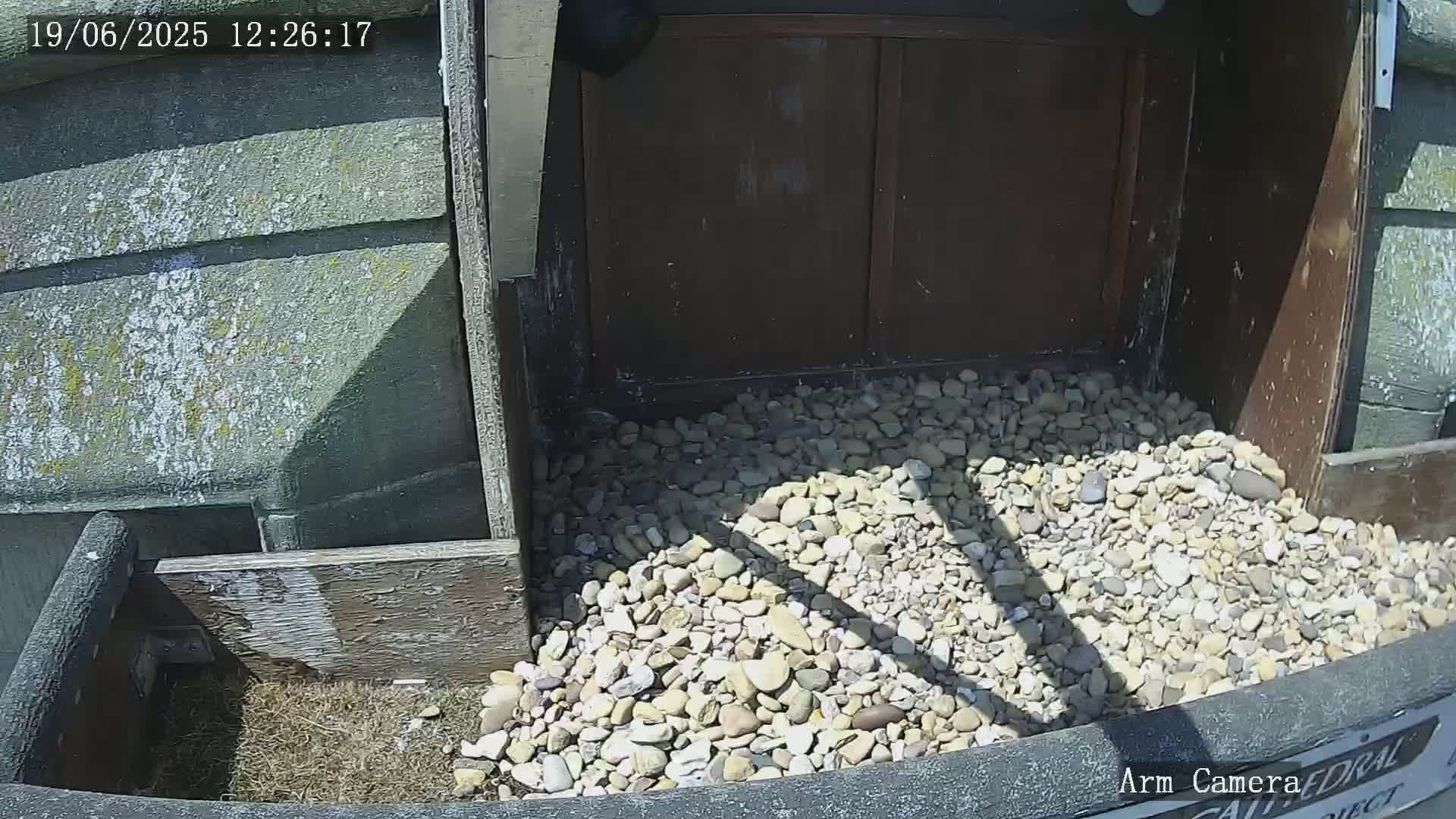 A pile of light-colored pebbles sits inside a dark wooden structure on a sunny day.
