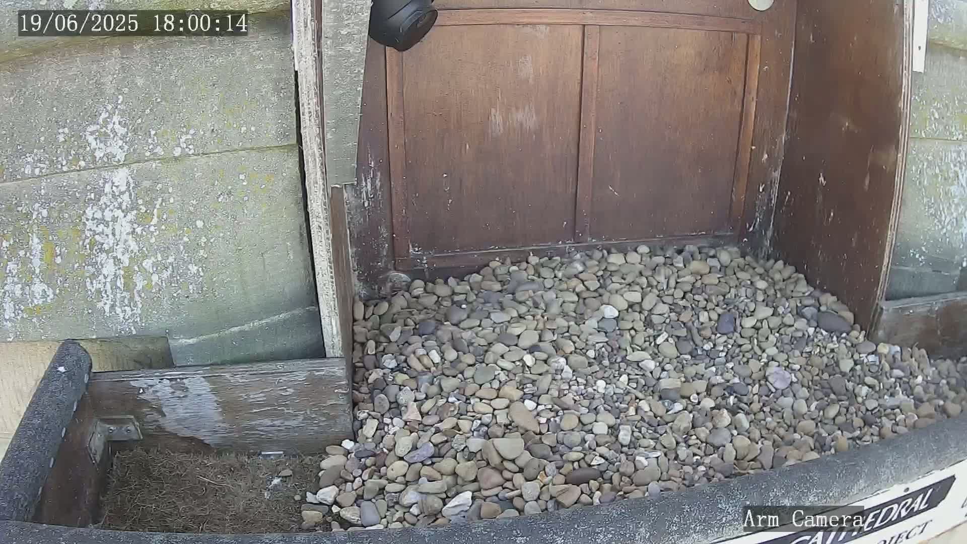 A pile of small rocks sits in front of a wooden door, partially contained by a wooden frame, next to a grey building.