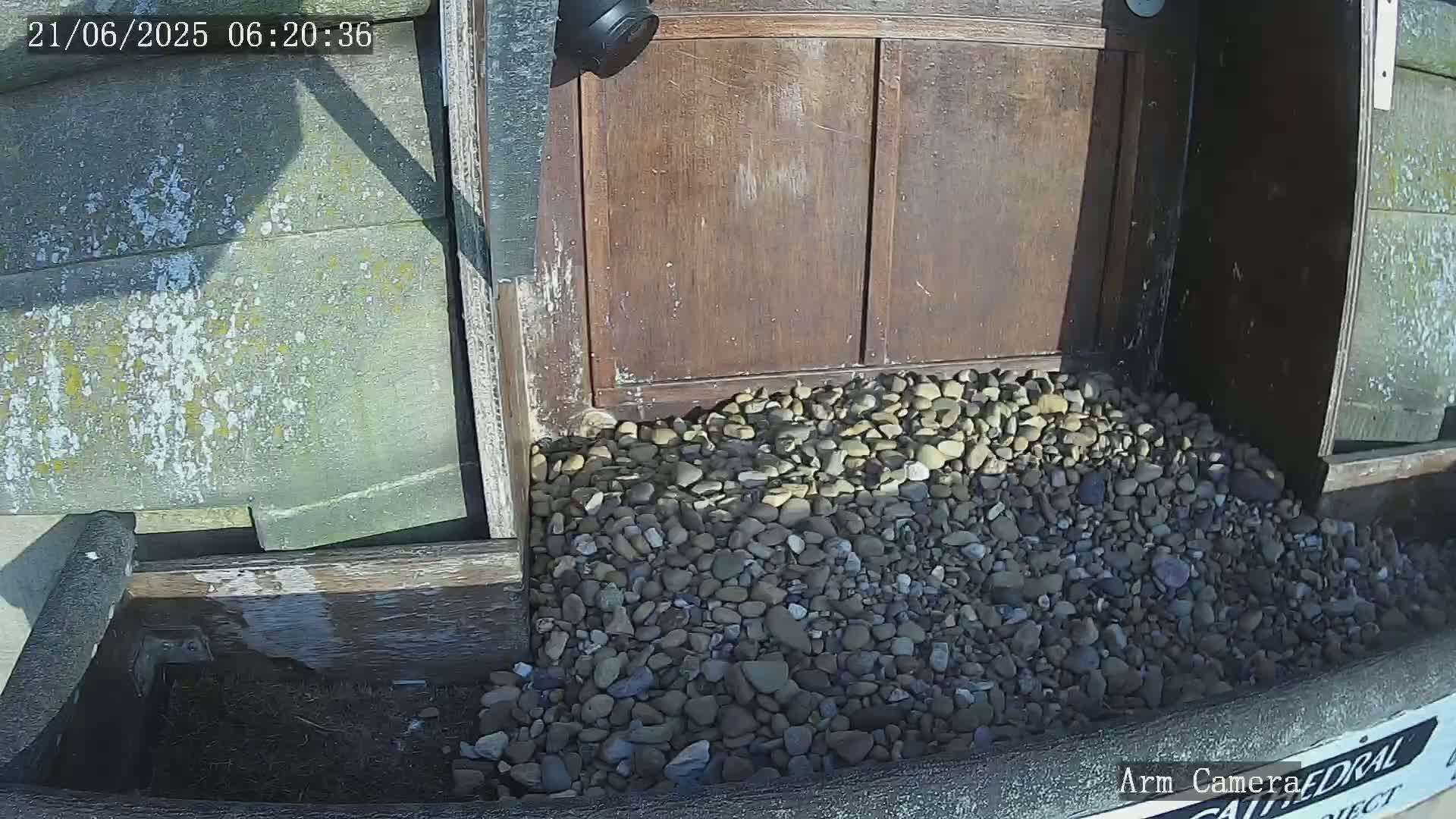 Wakefield Cathedral & Peregrine Life Project Live Cam - Wakefield, West Yorkshire, Yorkshire and the Humber, England, United Kingdom