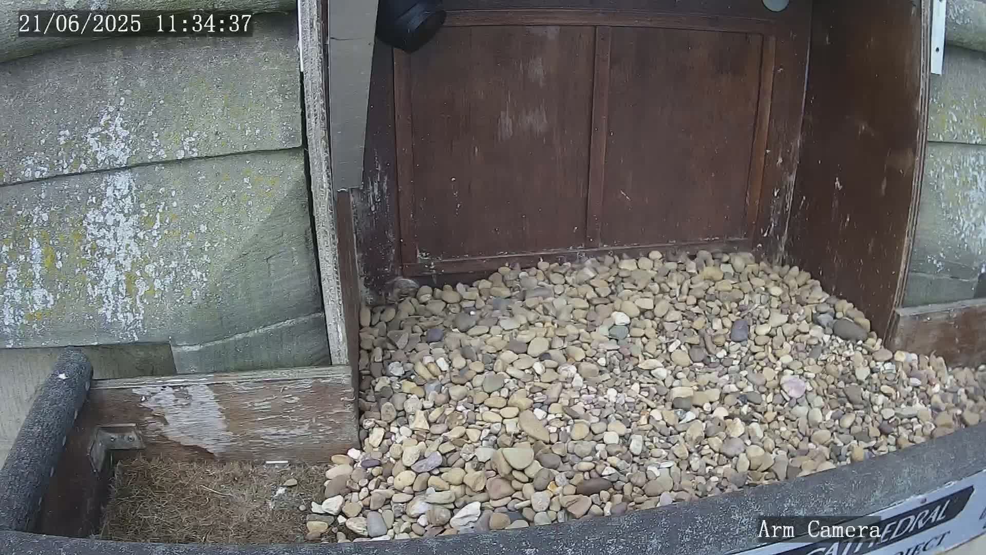 A pile of small rocks sits in front of a weathered wooden structure and a gray stone wall, next to a security camera.