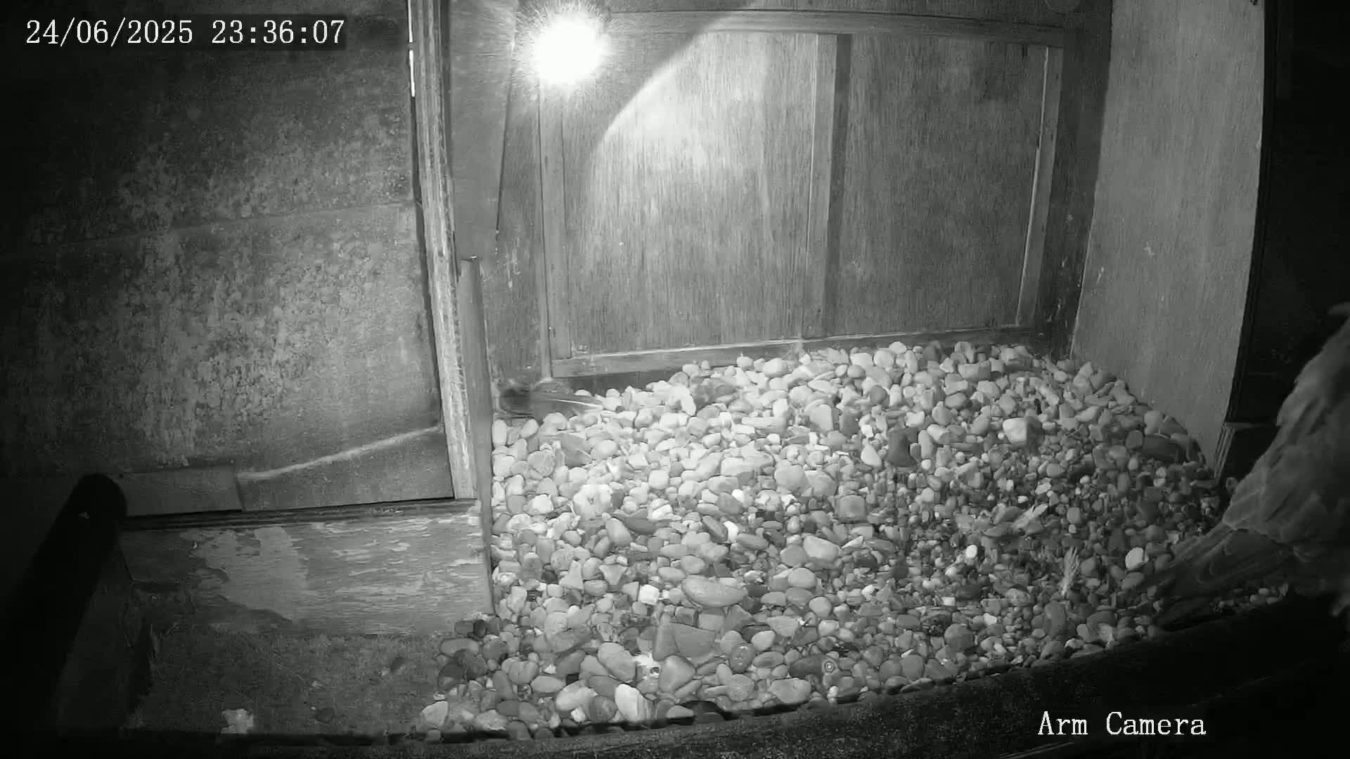 Wakefield Cathedral & Peregrine Life Project Live Cam - Wakefield, West Yorkshire, Yorkshire and the Humber, England, United Kingdom
