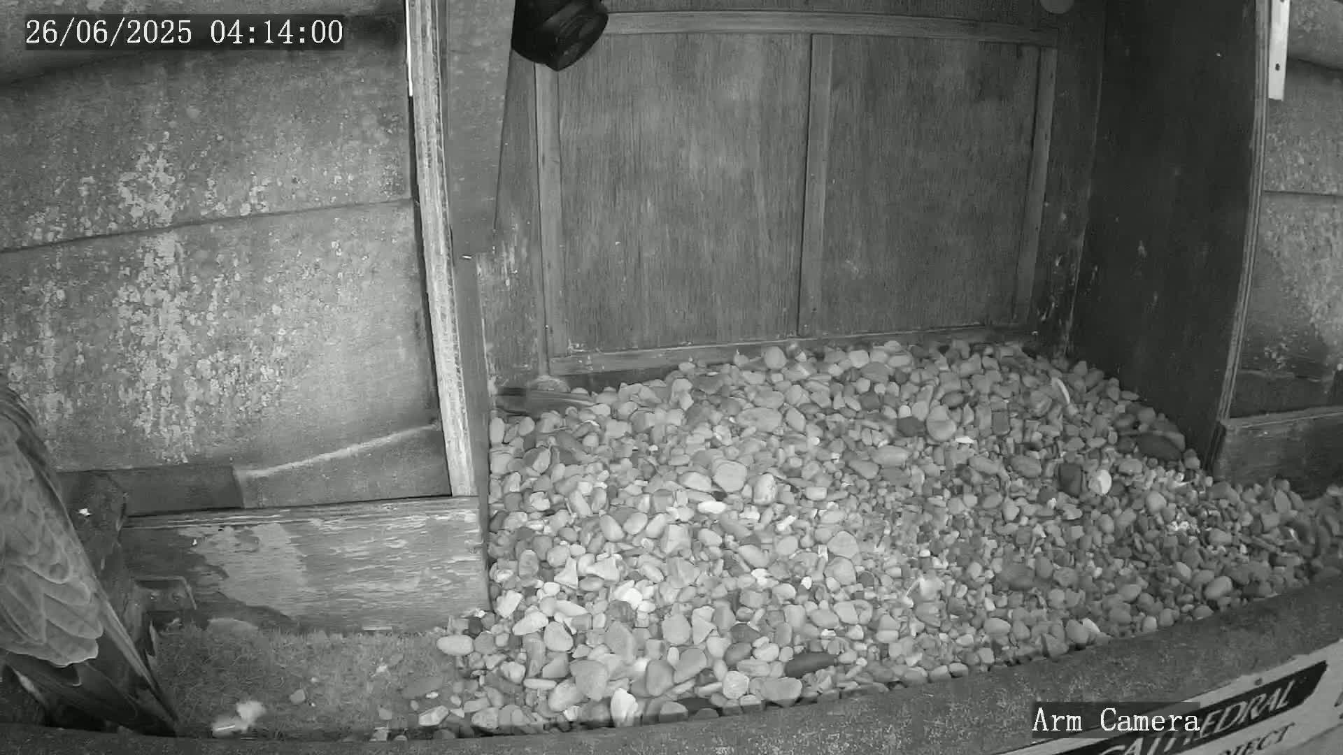 Wakefield Cathedral & Peregrine Life Project Live Cam - Wakefield, West Yorkshire, Yorkshire and the Humber, England, United Kingdom