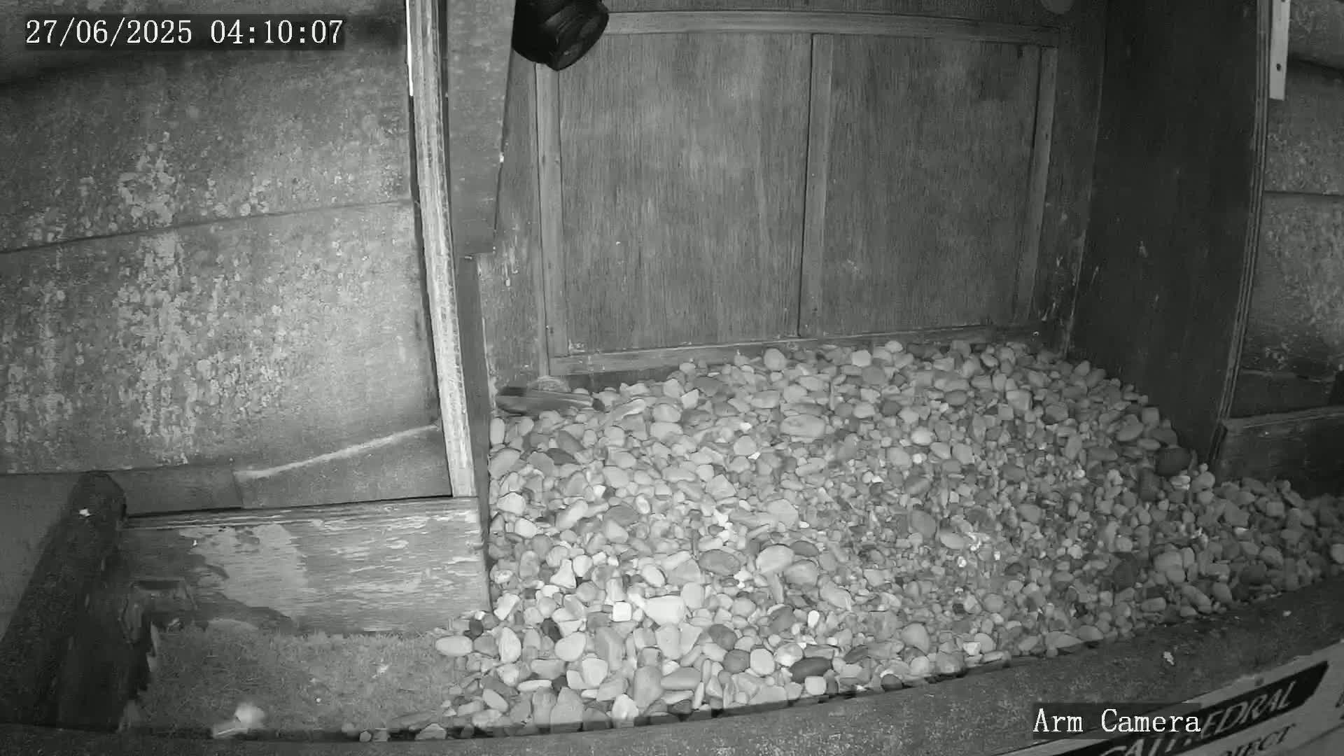 Wakefield Cathedral & Peregrine Life Project Live Cam - Wakefield, West Yorkshire, Yorkshire and the Humber, England, United Kingdom