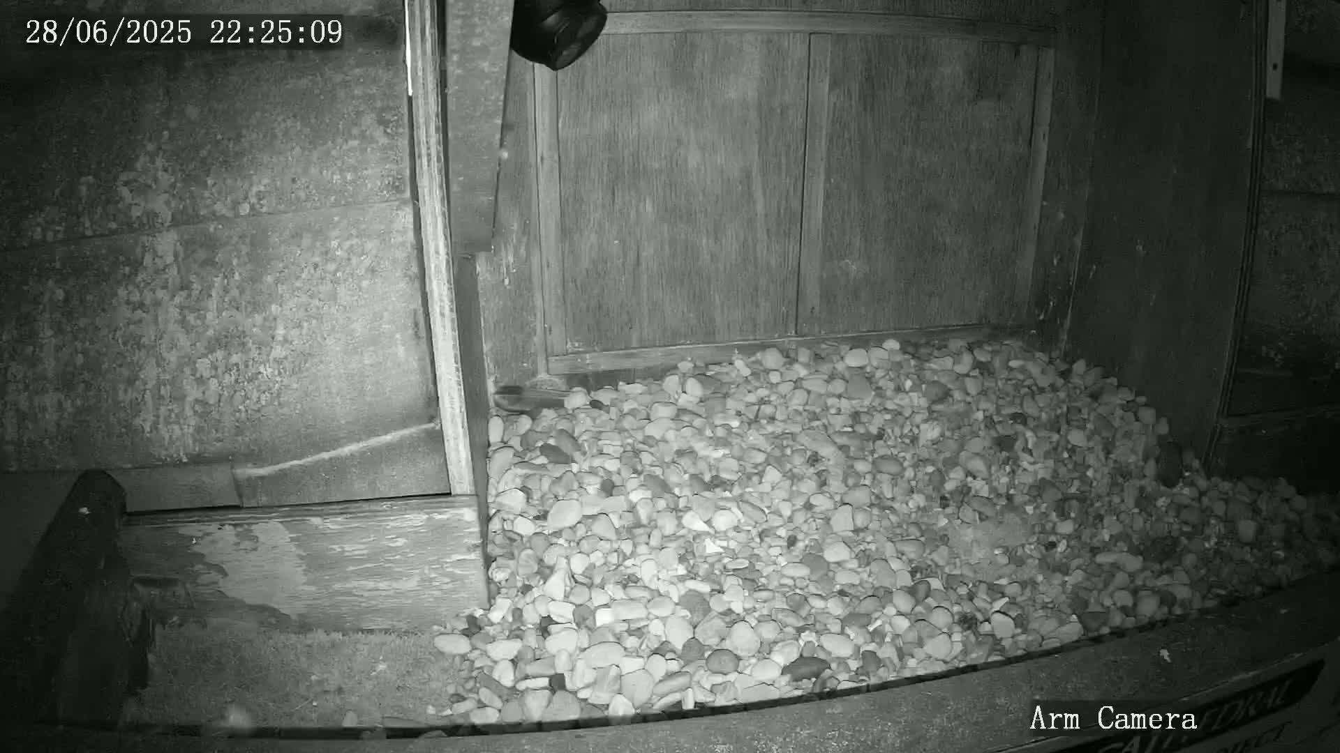 Wakefield Cathedral & Peregrine Life Project Live Cam - Wakefield, West Yorkshire, Yorkshire and the Humber, England, United Kingdom