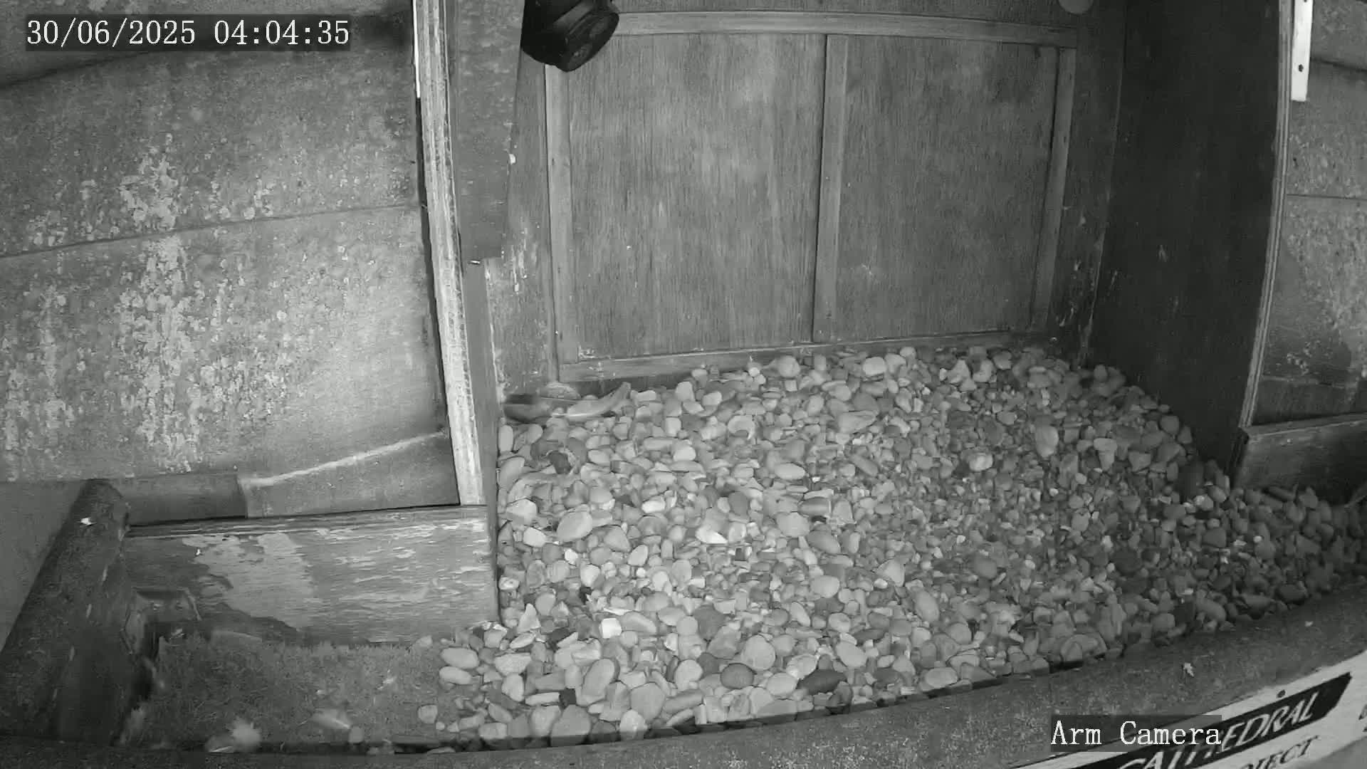 Wakefield Cathedral & Peregrine Life Project Live Cam - Wakefield, West Yorkshire, Yorkshire and the Humber, England, United Kingdom