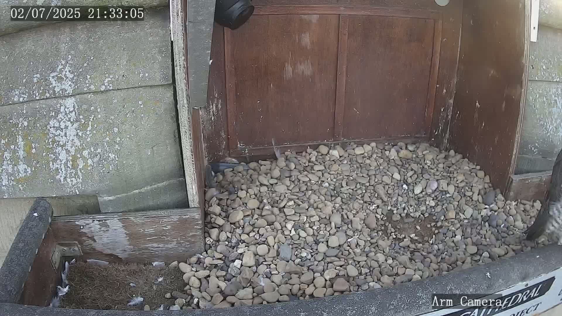 Wakefield Cathedral & Peregrine Life Project Live Cam - Wakefield, West Yorkshire, Yorkshire and the Humber, England, United Kingdom