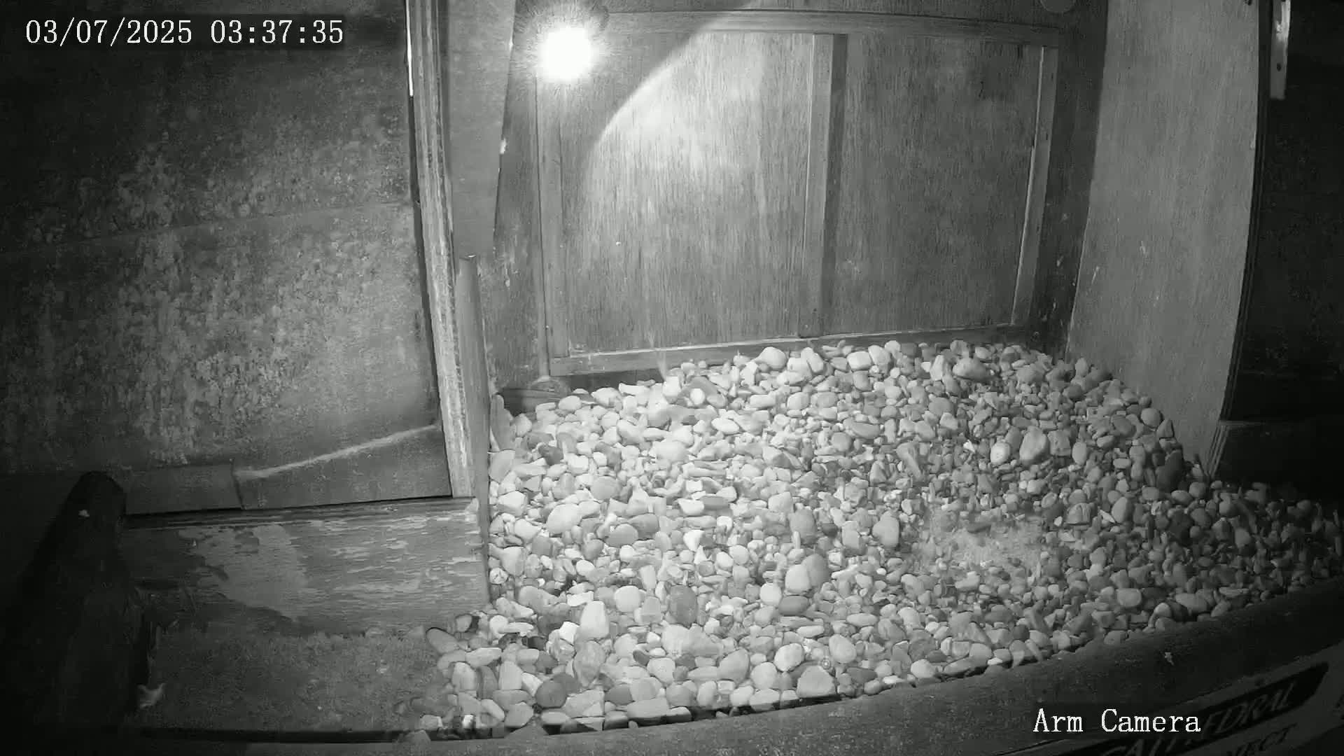 Wakefield Cathedral & Peregrine Life Project Live Cam - Wakefield, West Yorkshire, Yorkshire and the Humber, England, United Kingdom