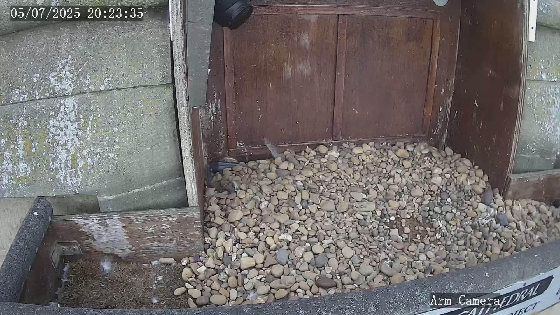 Wakefield Cathedral & Peregrine Life Project Live Cam - Wakefield, West Yorkshire, Yorkshire and the Humber, England, United Kingdom