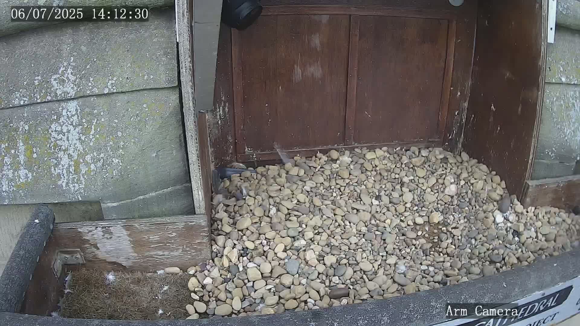 Wakefield Cathedral & Peregrine Life Project Live Cam - Wakefield, West Yorkshire, Yorkshire and the Humber, England, United Kingdom