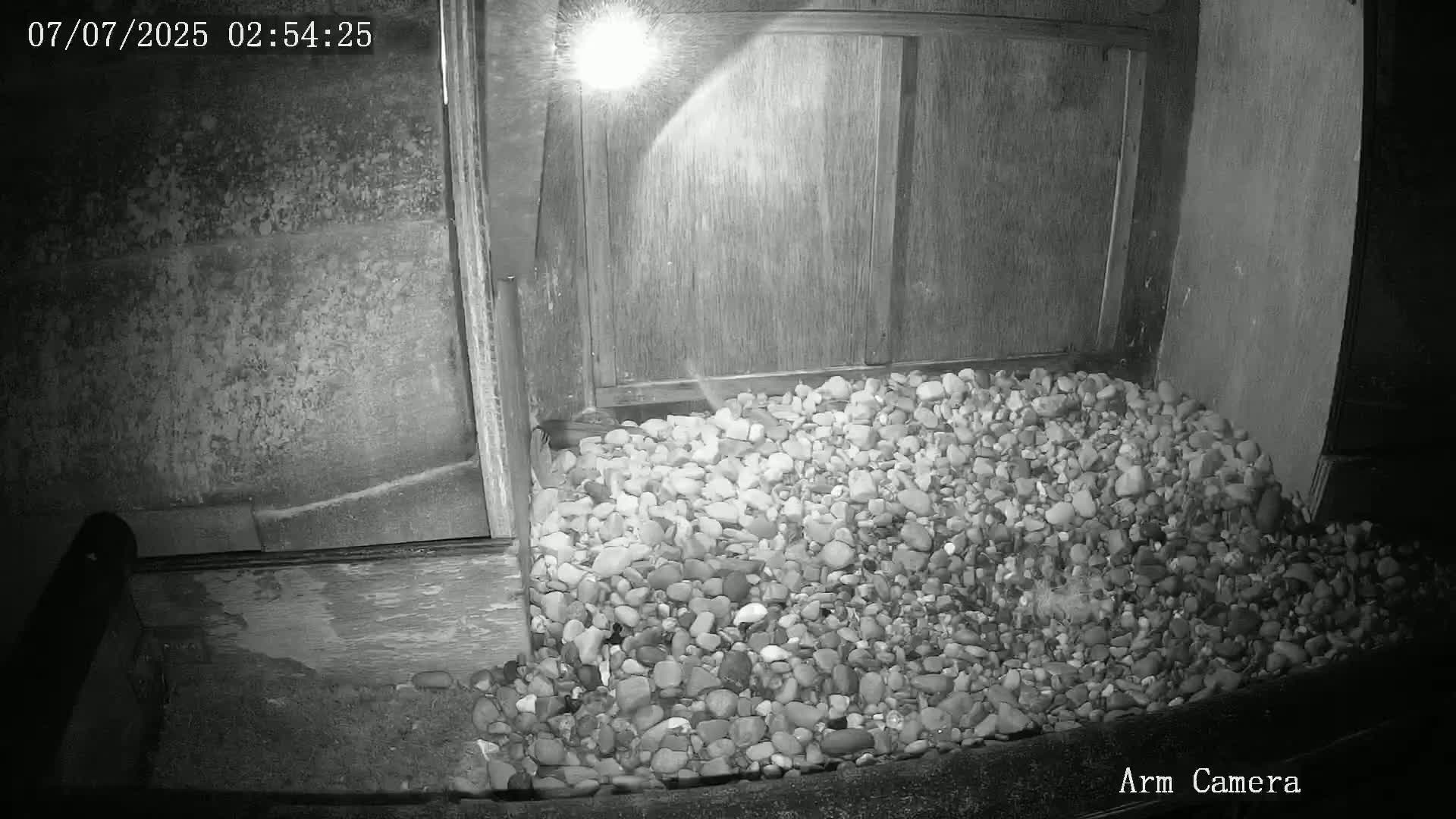 Wakefield Cathedral & Peregrine Life Project Live Cam - Wakefield, West Yorkshire, Yorkshire and the Humber, England, United Kingdom