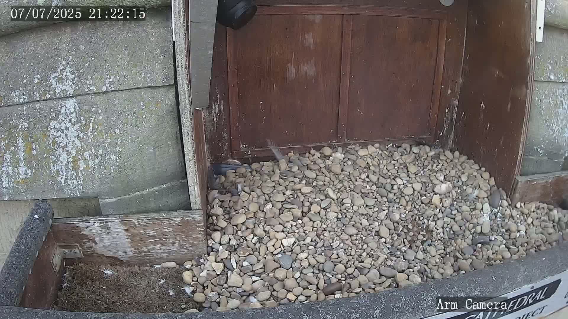 Wakefield Cathedral & Peregrine Life Project Live Cam - Wakefield, West Yorkshire, Yorkshire and the Humber, England, United Kingdom