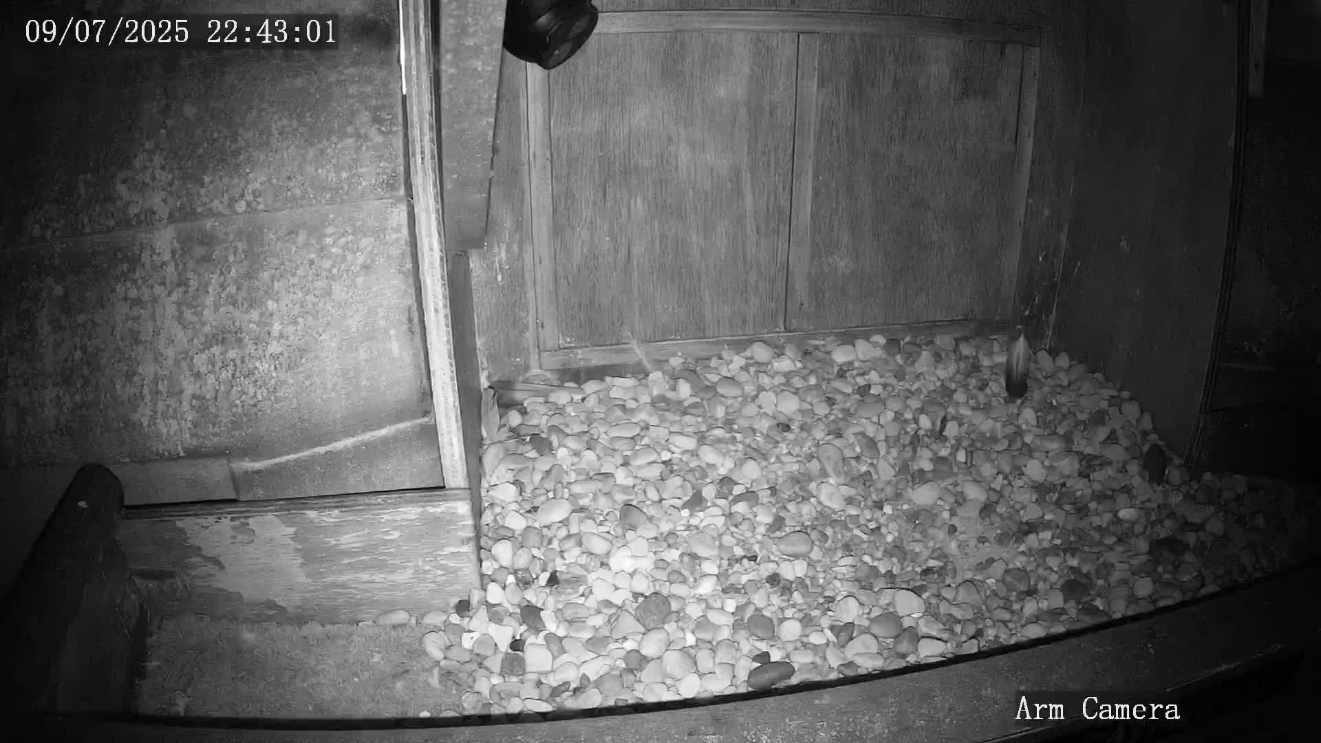 Wakefield Cathedral & Peregrine Life Project Live Cam - Wakefield, West Yorkshire, Yorkshire and the Humber, England, United Kingdom