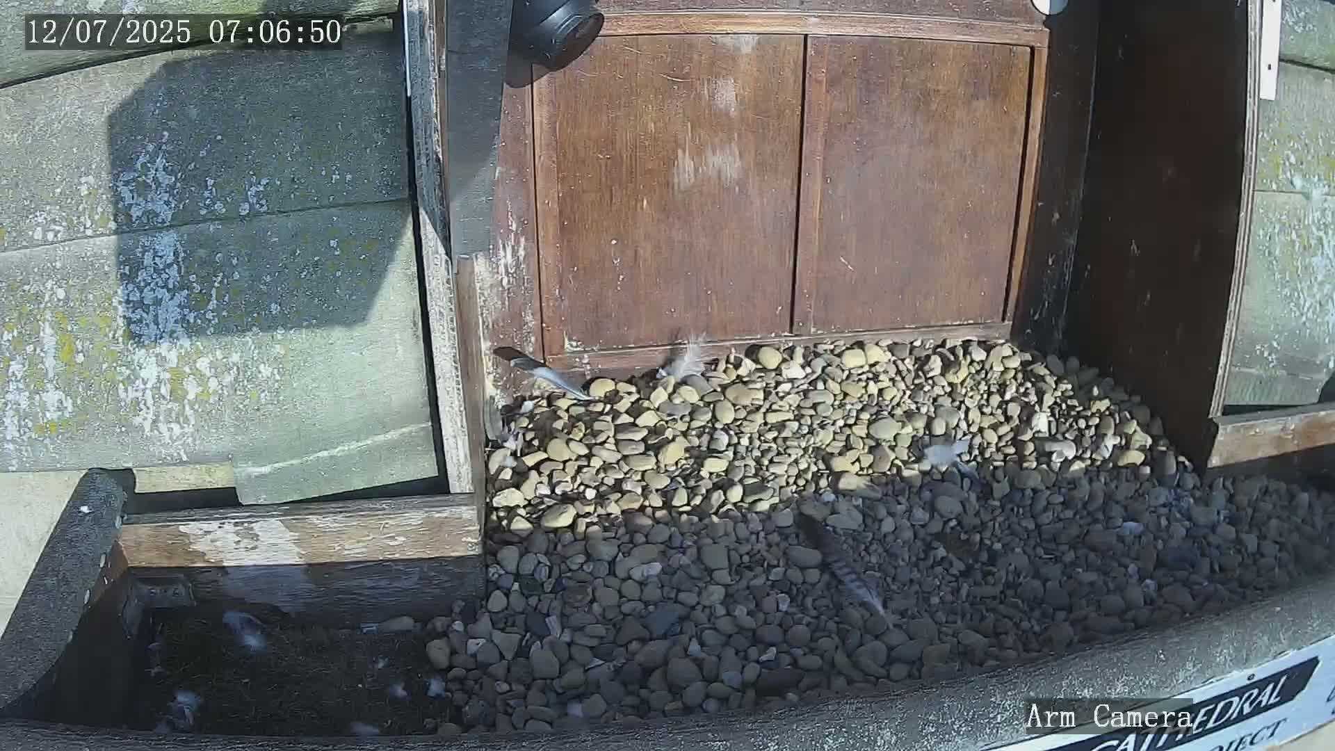 Wakefield Cathedral & Peregrine Life Project Live Cam - Wakefield, West Yorkshire, Yorkshire and the Humber, England, United Kingdom