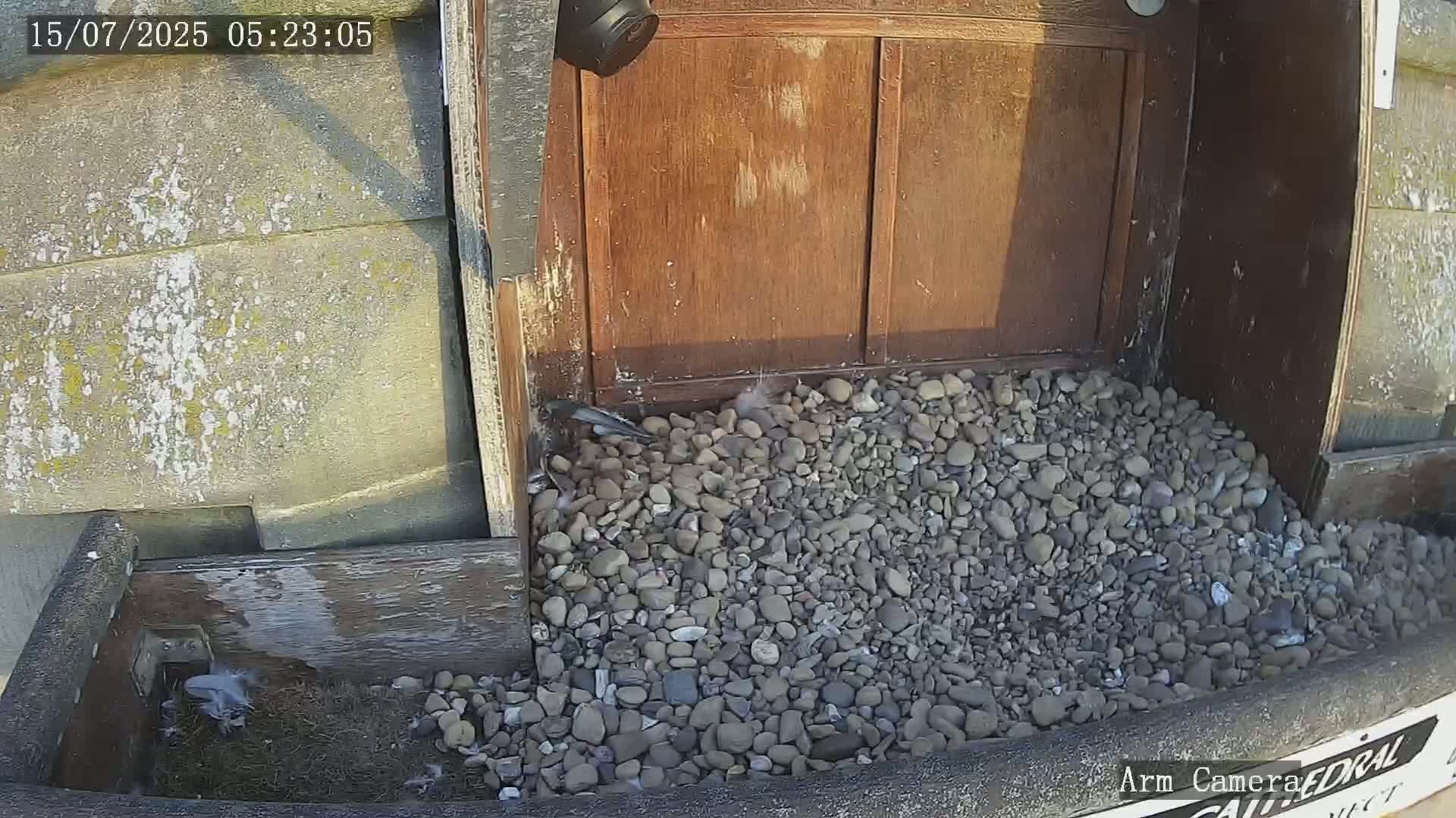 Wakefield Cathedral & Peregrine Life Project Live Cam - Wakefield, West Yorkshire, Yorkshire and the Humber, England, United Kingdom