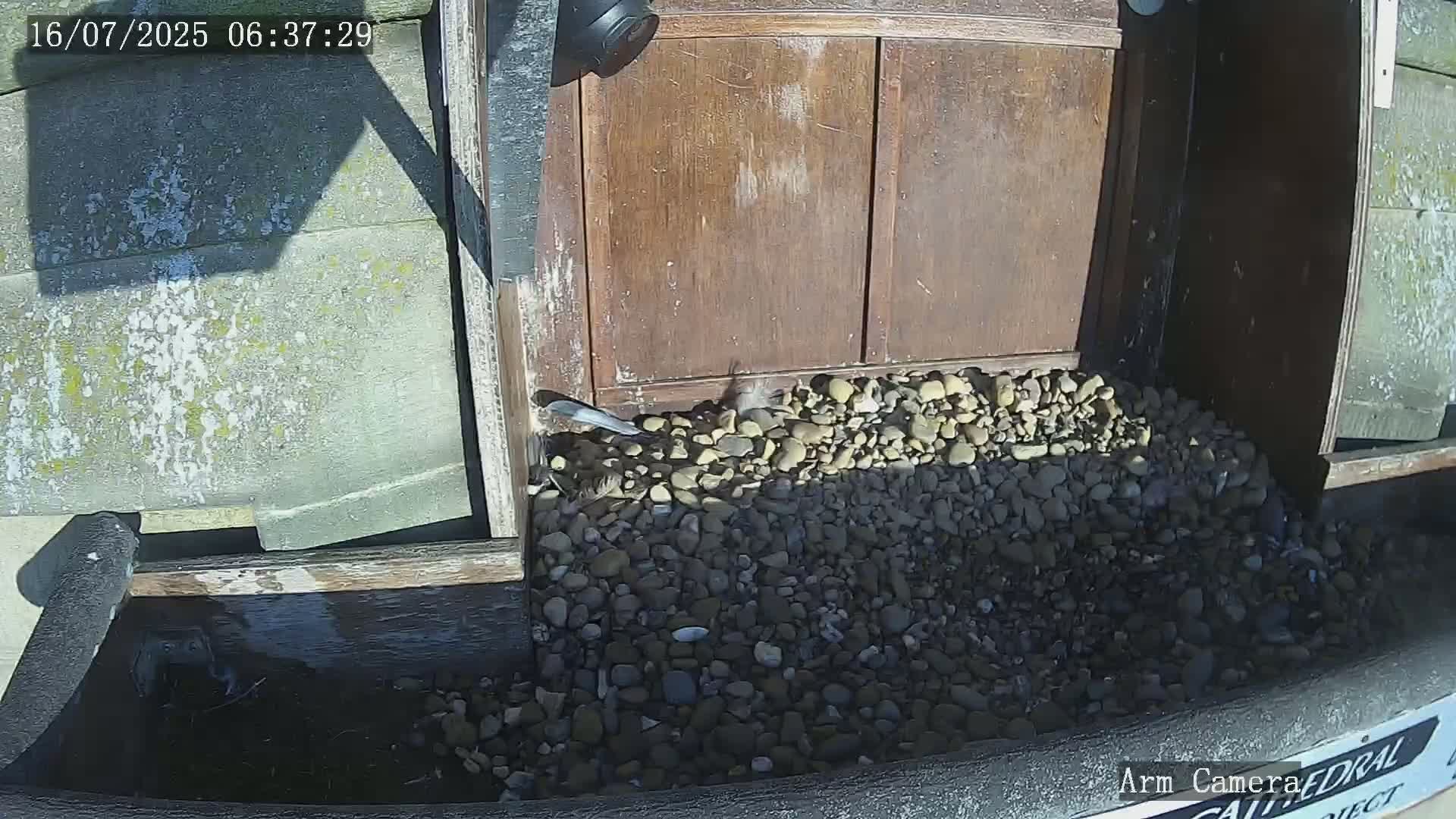 Wakefield Cathedral & Peregrine Life Project Live Cam - Wakefield, West Yorkshire, Yorkshire and the Humber, England, United Kingdom