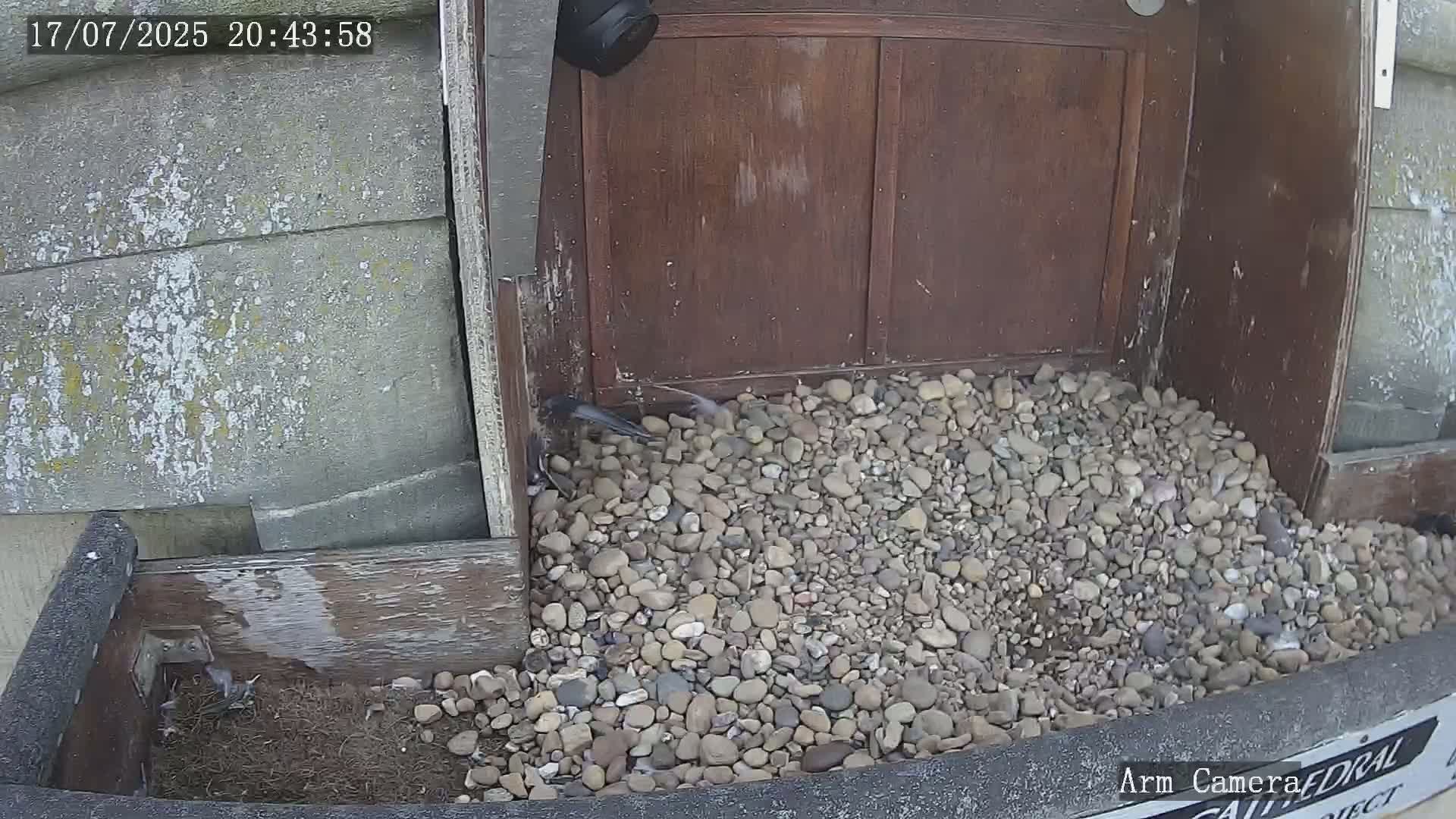 Wakefield Cathedral & Peregrine Life Project Live Cam - Wakefield, West Yorkshire, Yorkshire and the Humber, England, United Kingdom