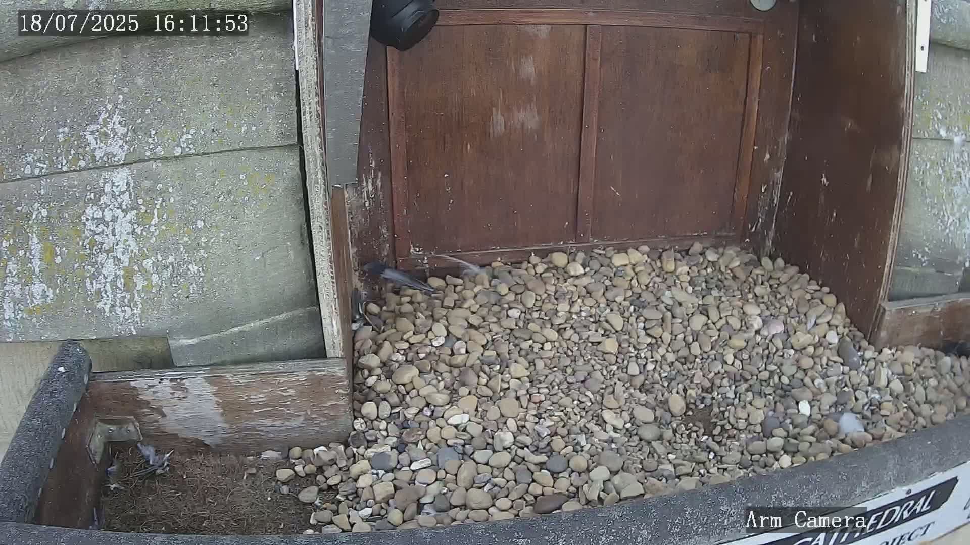 Wakefield Cathedral & Peregrine Life Project Live Cam - Wakefield, West Yorkshire, Yorkshire and the Humber, England, United Kingdom