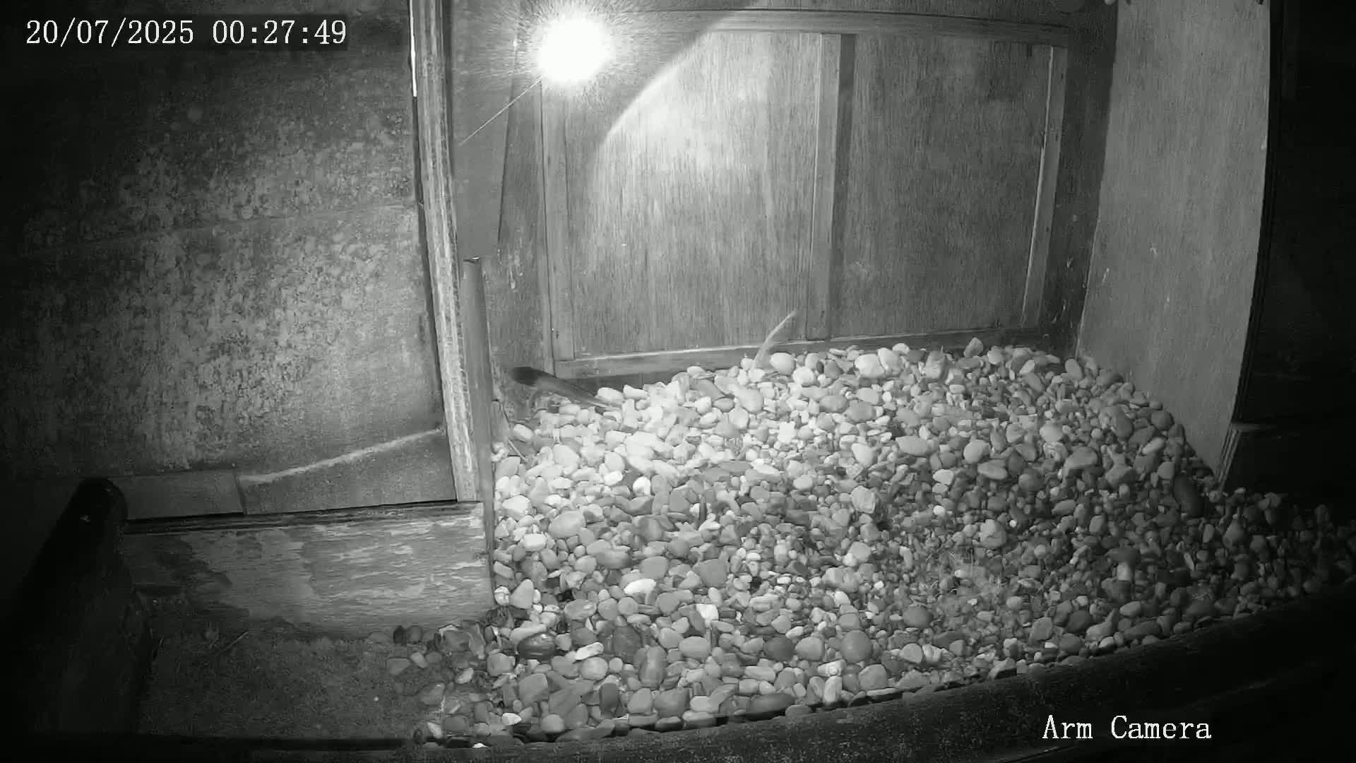Wakefield Cathedral & Peregrine Life Project Live Cam - Wakefield, West Yorkshire, Yorkshire and the Humber, England, United Kingdom