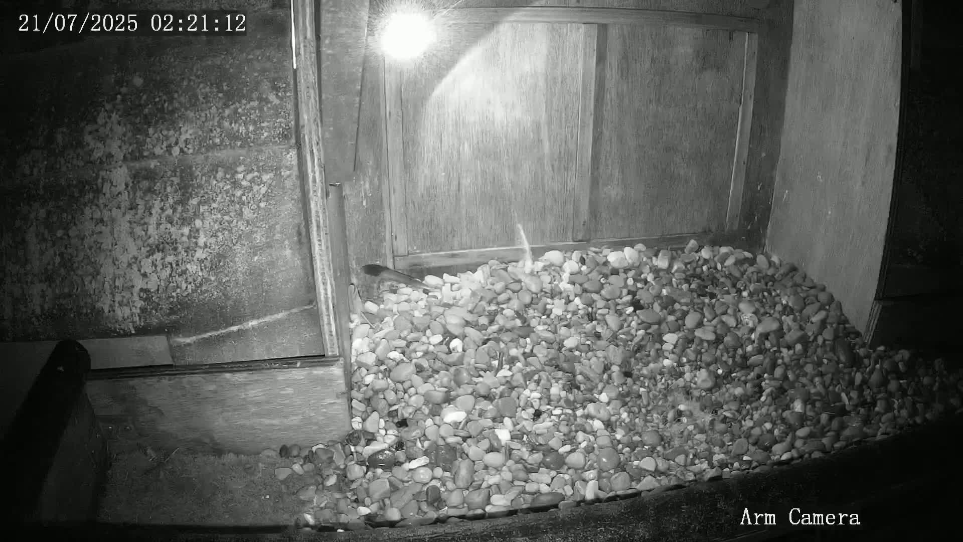 Wakefield Cathedral & Peregrine Life Project Live Cam - Wakefield, West Yorkshire, Yorkshire and the Humber, England, United Kingdom