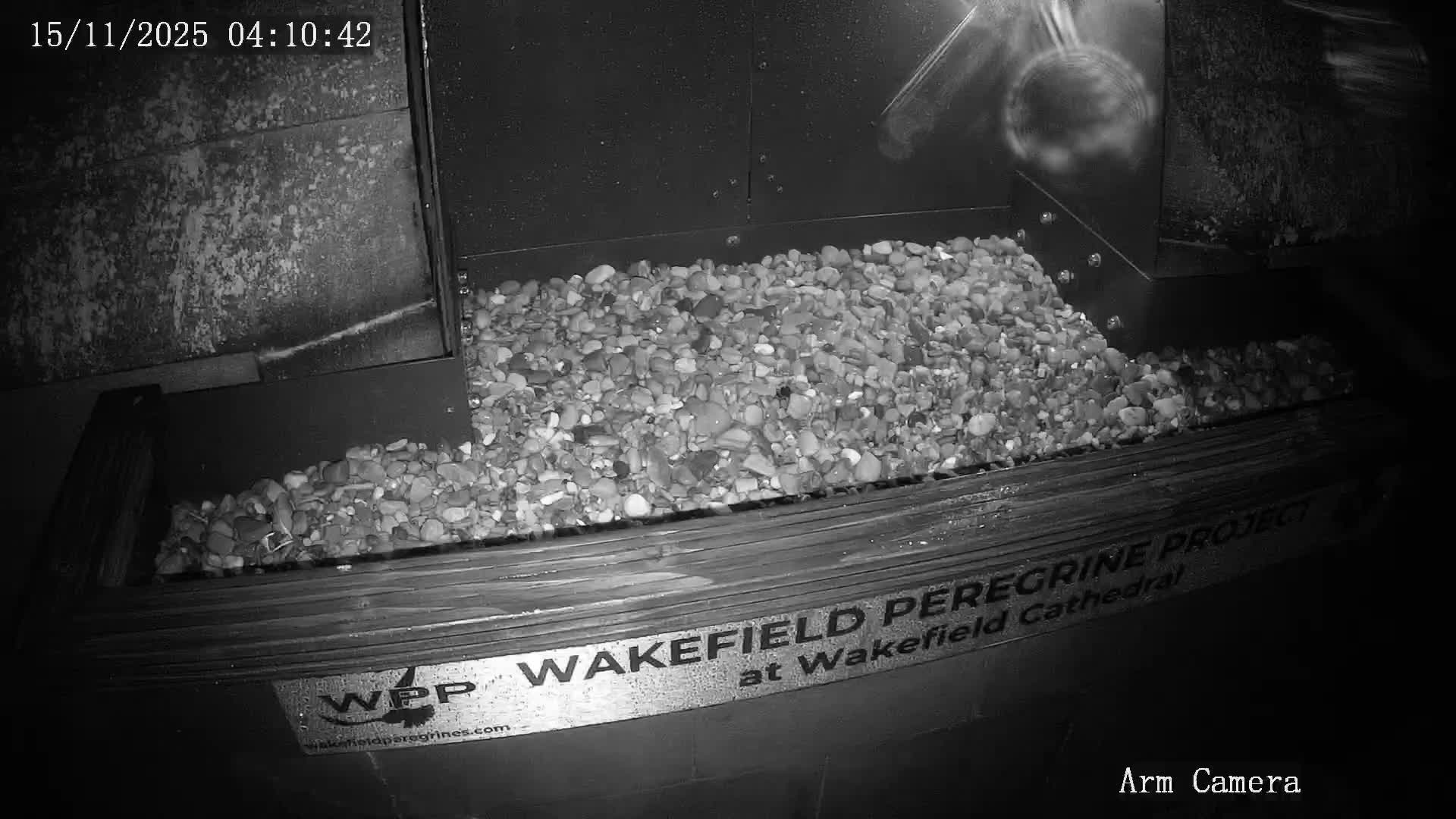 Wakefield Cathedral & Peregrine Life Project Live Cam - Wakefield, West Yorkshire, Yorkshire and the Humber, England, United Kingdom