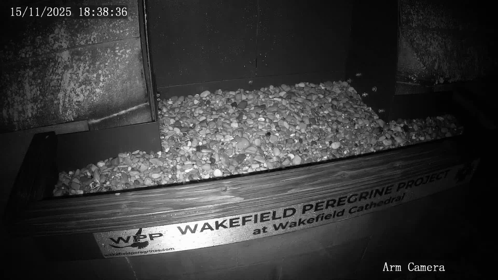 Wakefield Cathedral & Peregrine Life Project Live Cam - Wakefield, West Yorkshire, Yorkshire and the Humber, England, United Kingdom